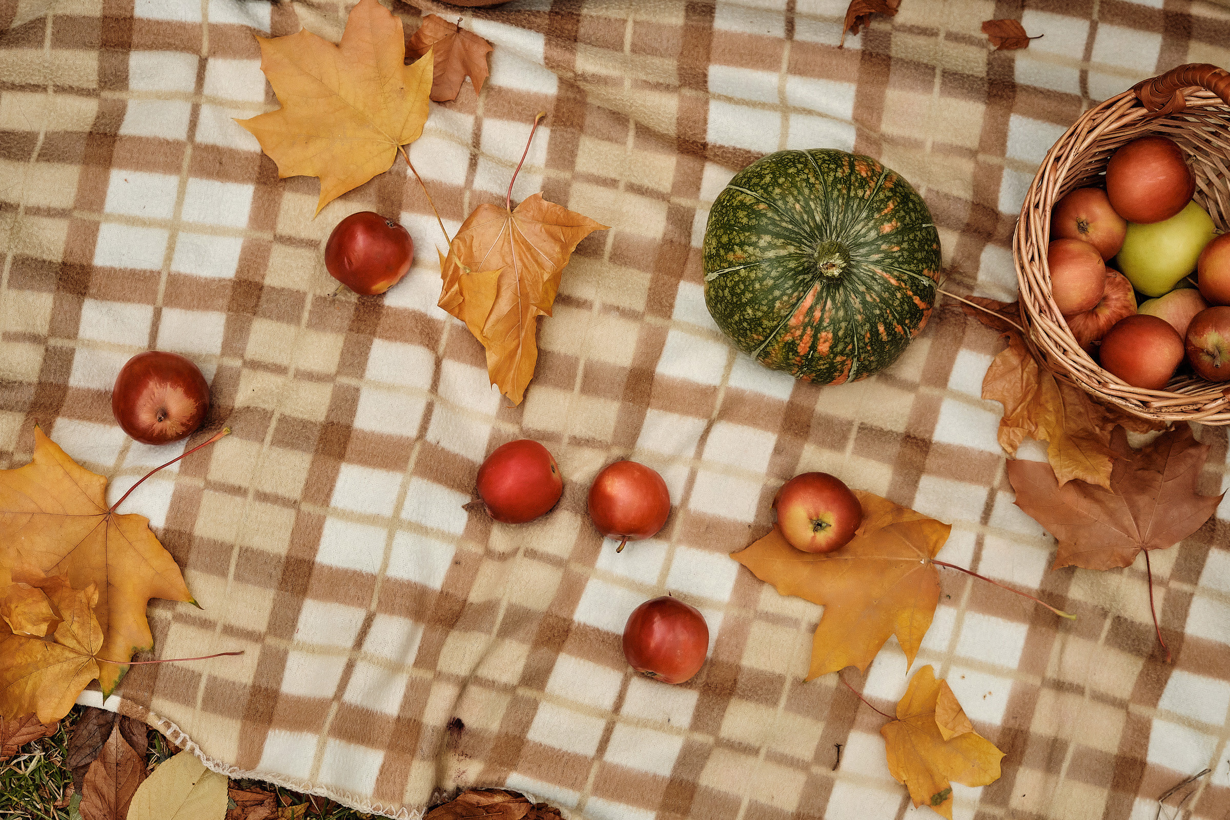 Осень в парке. Профессиональный фотограф в Екатеринбурге Юра Сахар