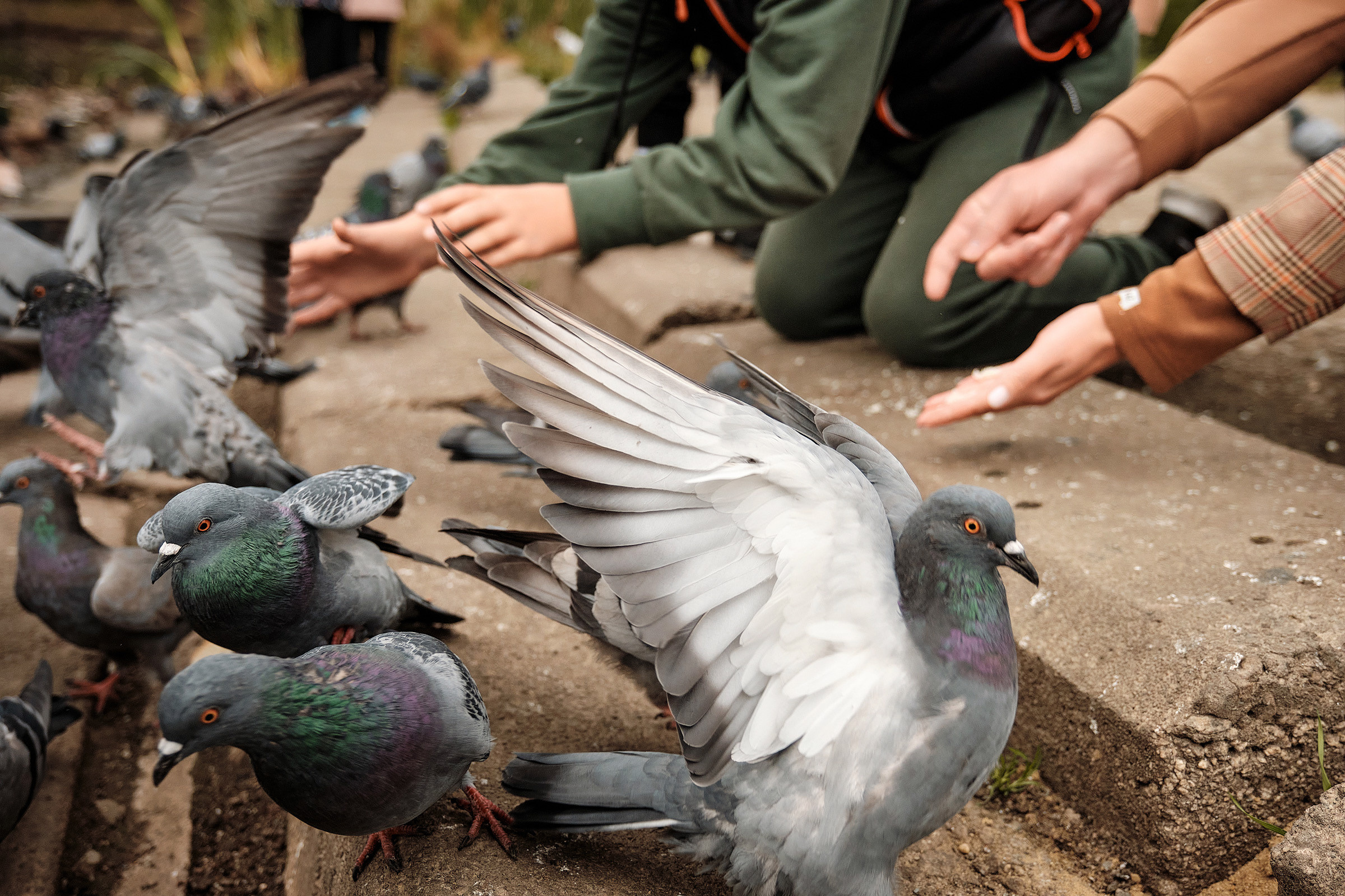 Осень в парке. Профессиональный фотограф в Екатеринбурге Юра Сахар