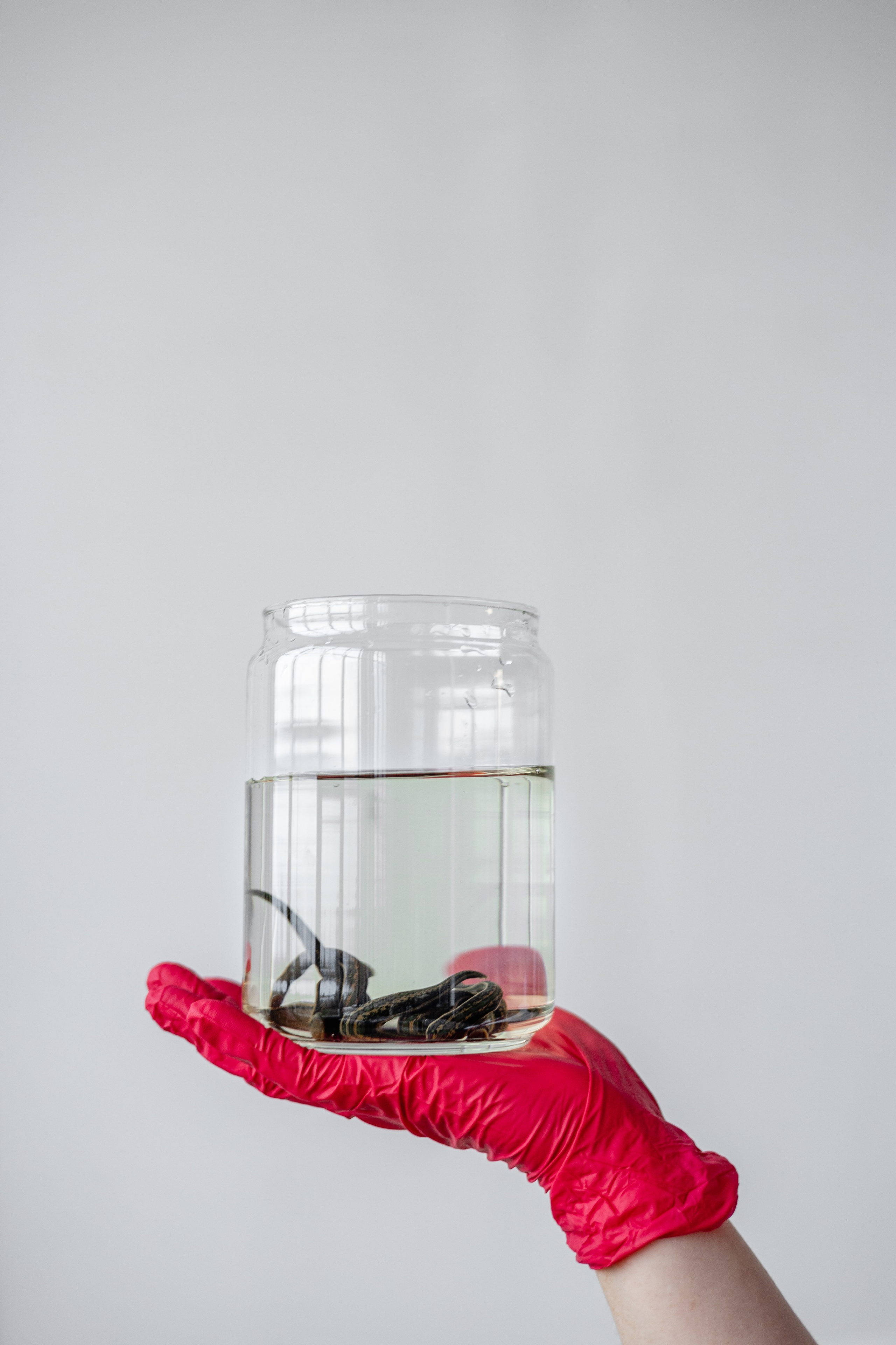 Гирудотерапевт. Фотограф Елена Медок Калининград