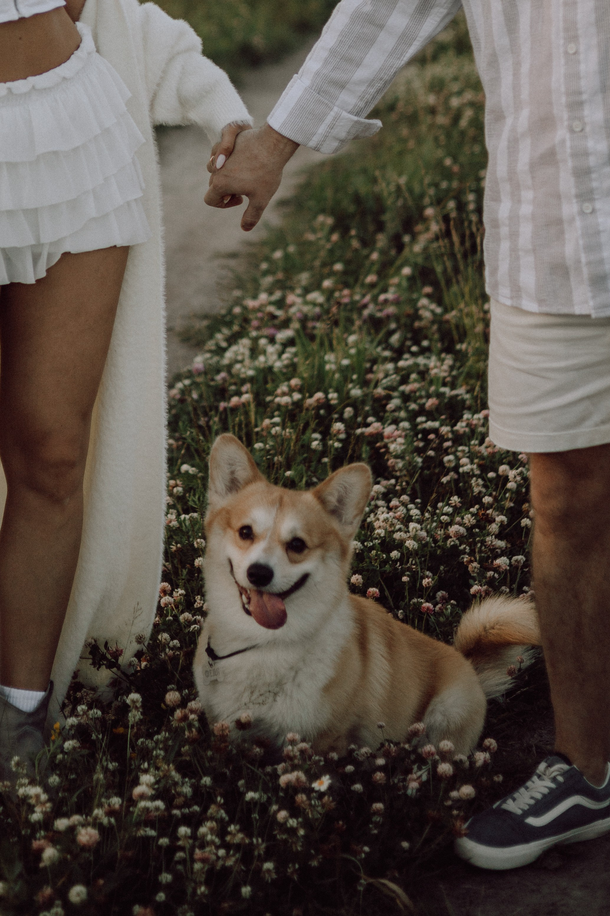 Паша, Настя и их Фёдор. Фотограф — анималист •love-story•|Санкт-Петербург