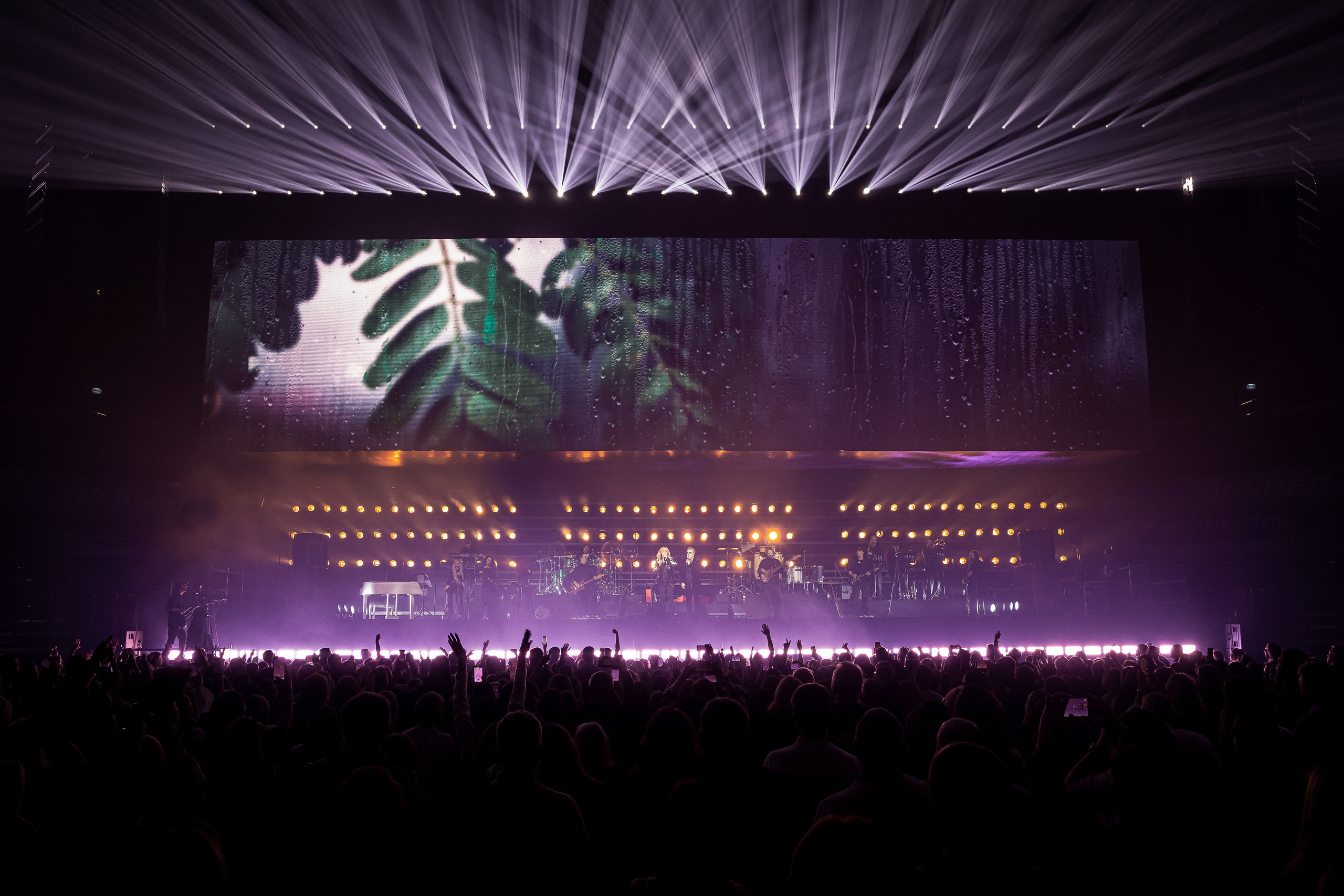 ВЛАДИМИР ПРЕСНЯКОВ / 2024. OOPS