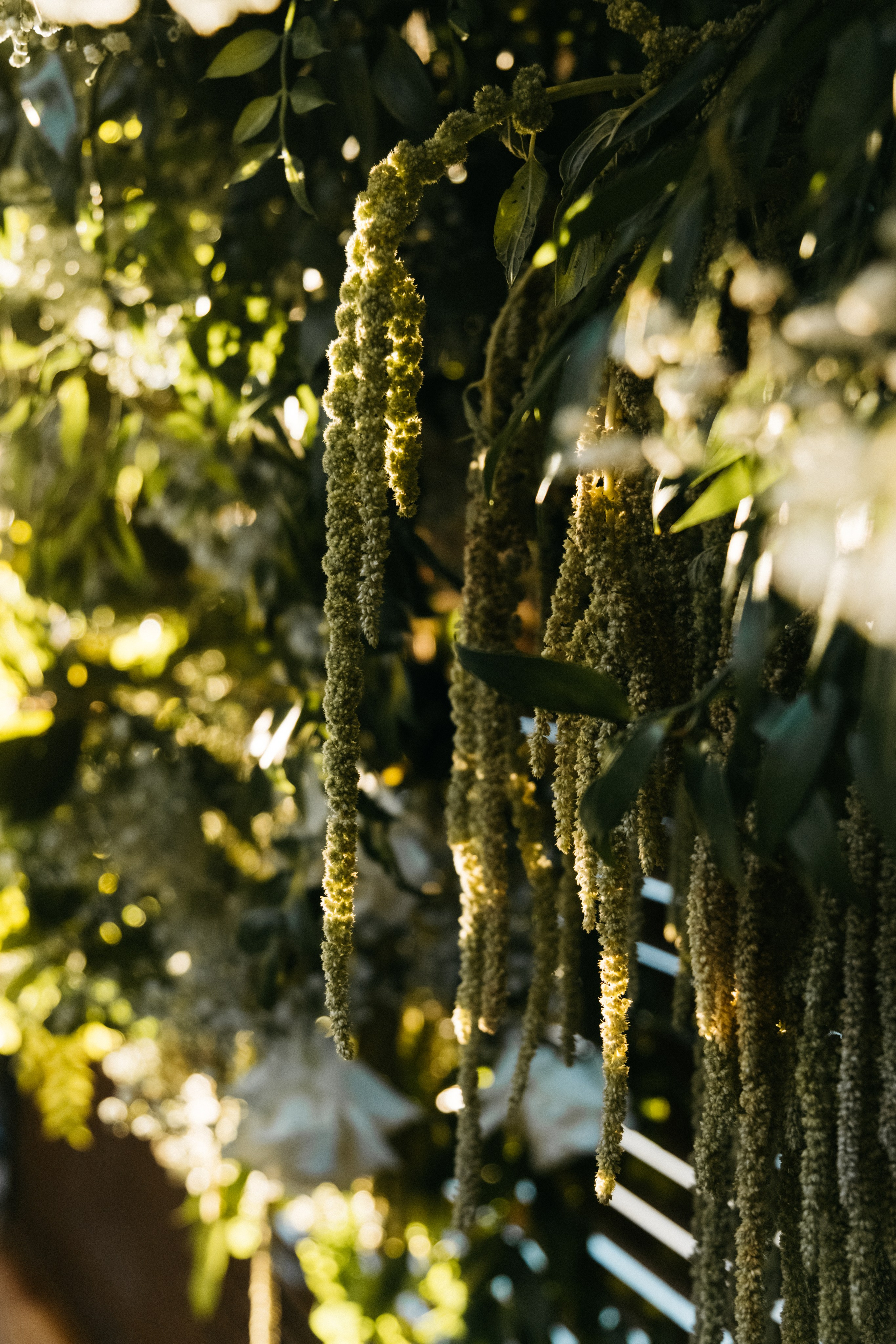 Artem/Masha. Фотограф Астафьева Мария