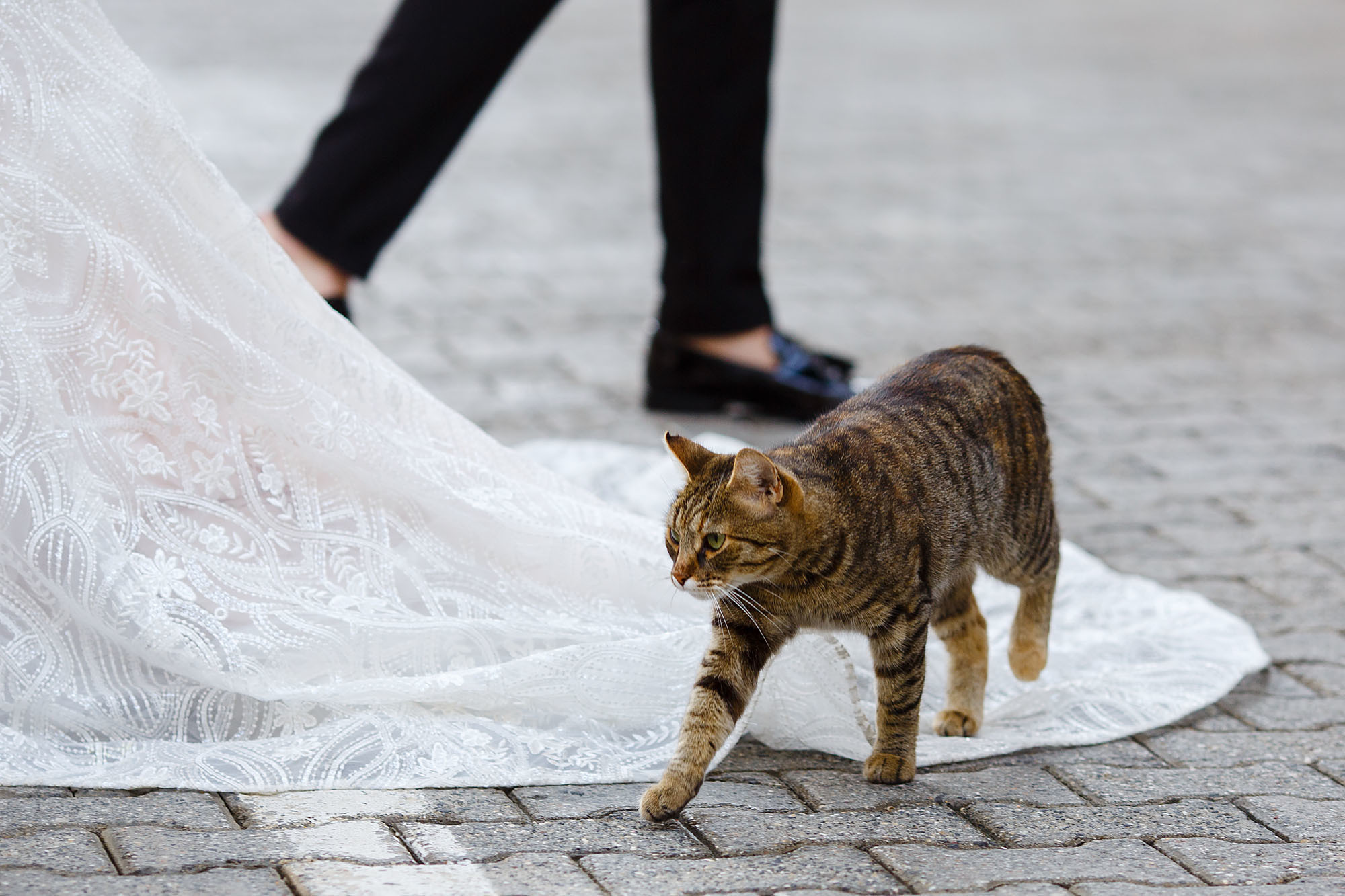 Таинство венчания. Свадебный фотограф Краснодар, Сочи, Геленджик, Анапа, Ростов