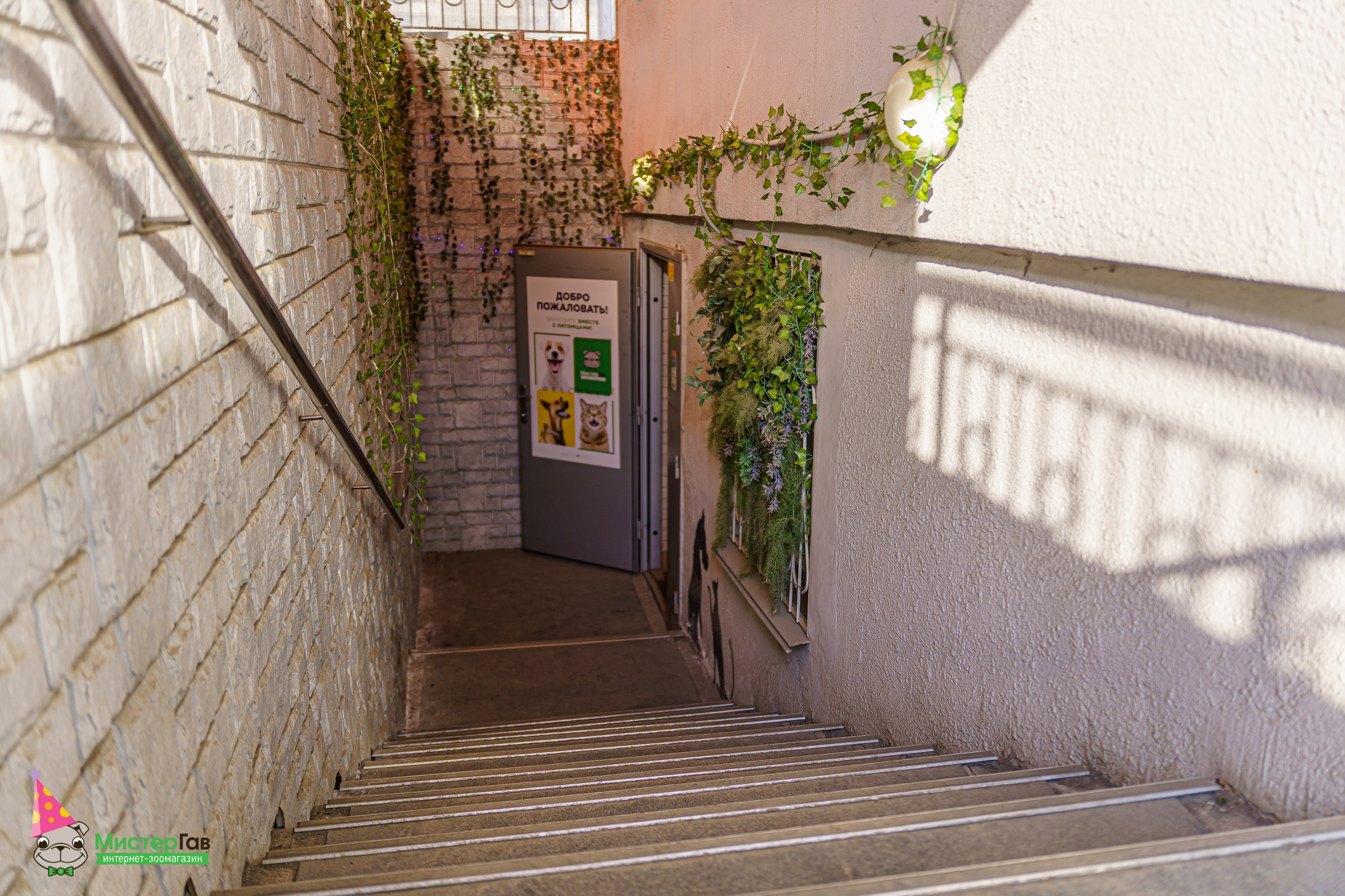 Мистер Гав -13 лет!. Фотограф Челябинск · Ольга Серебрякова