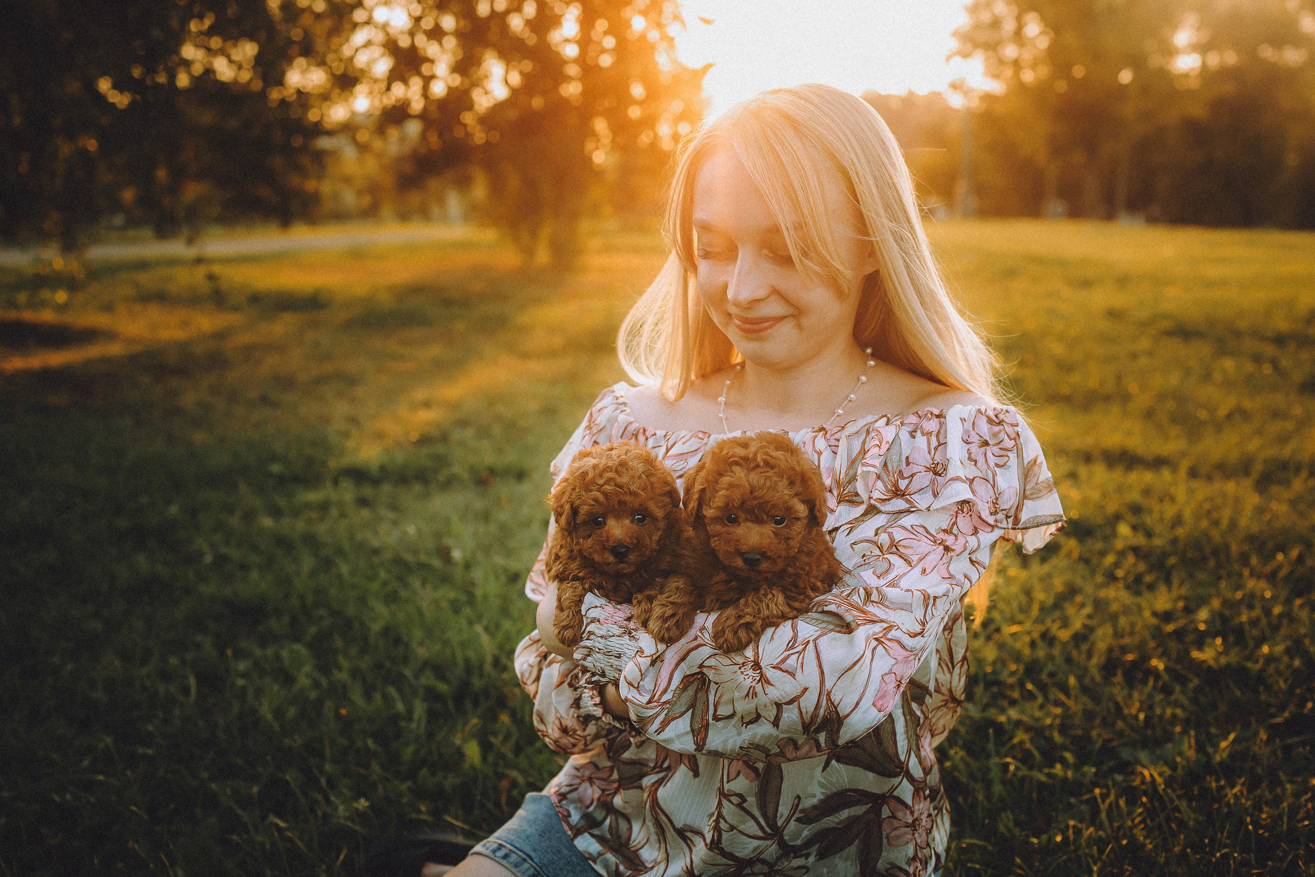 Гречка, Кари и щенки