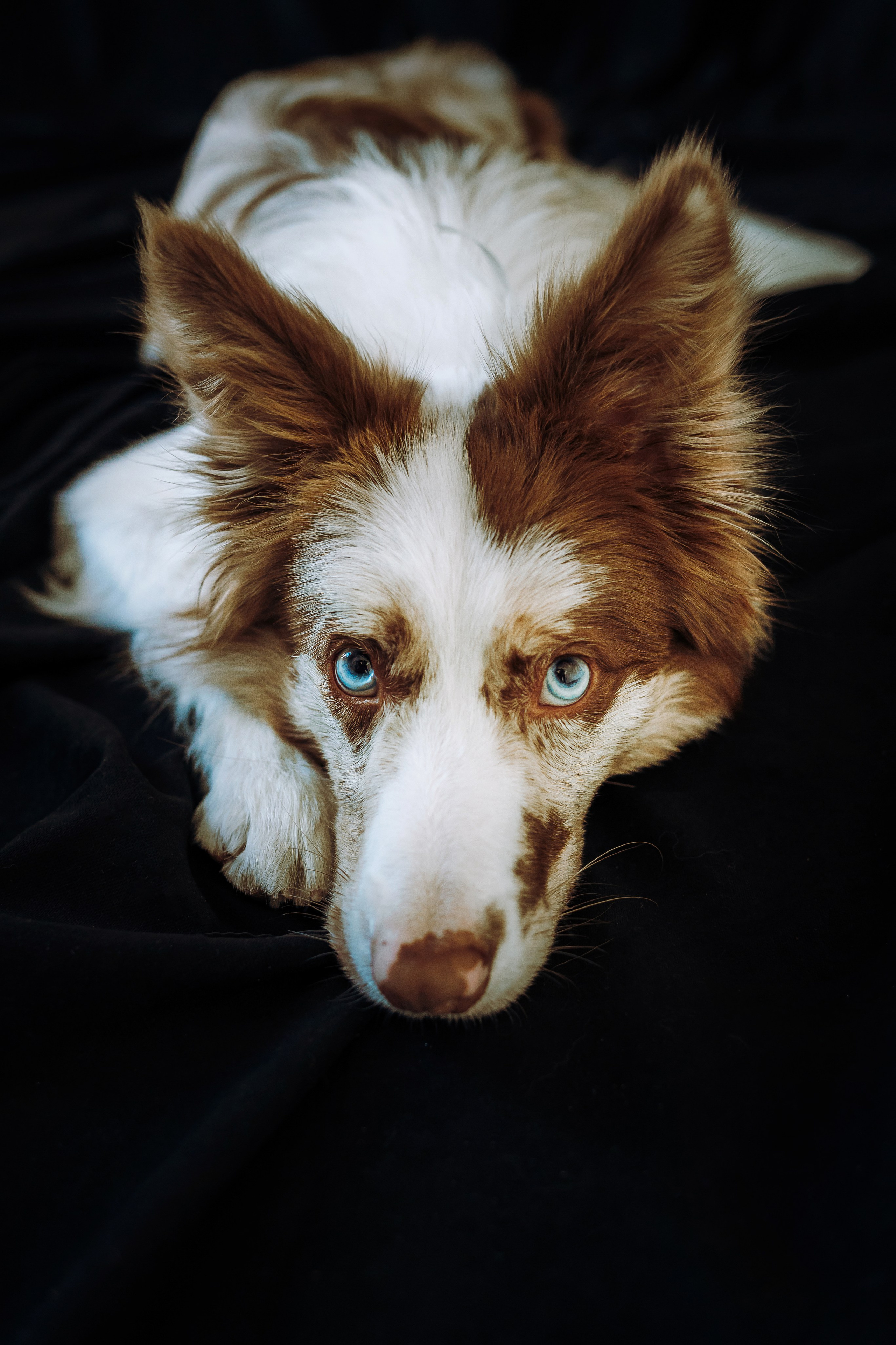 День рождения Айко