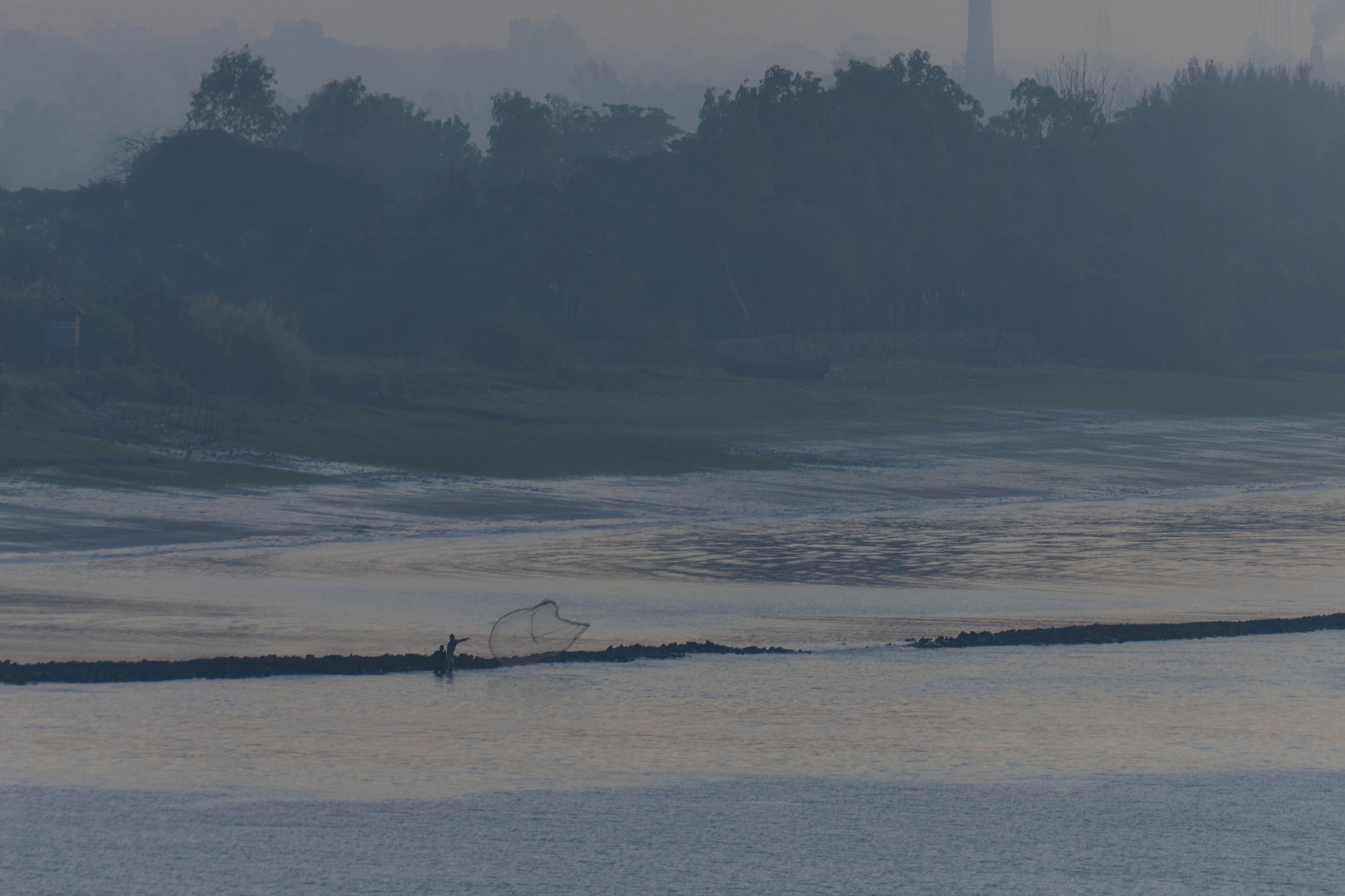 Жизнь, люди, стрит, вокруг, животные, на улице. Яркие фото на Чёрном море