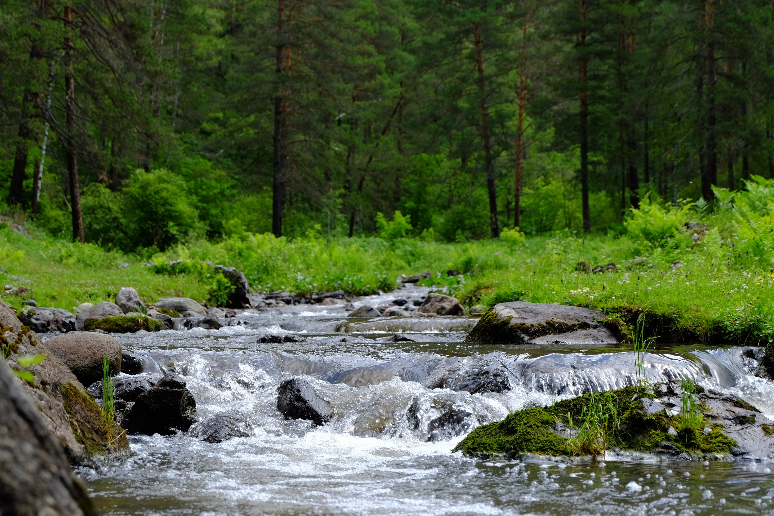 Алтай. Антон Великий