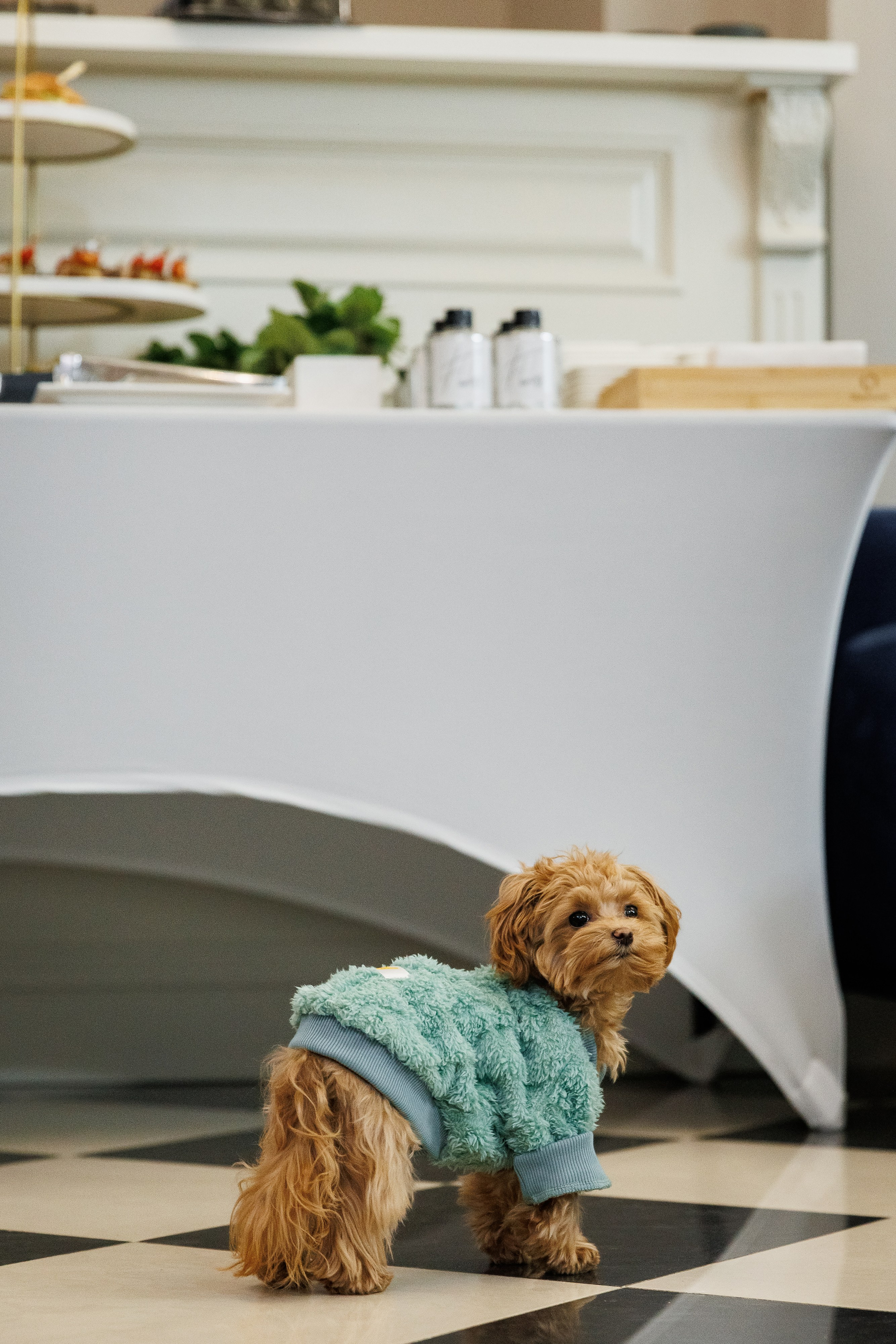 Flawless&Иван Маклонов «Инстинкт Красоты». Репортажный Фотограф Александр Назаров. Москва и М.О