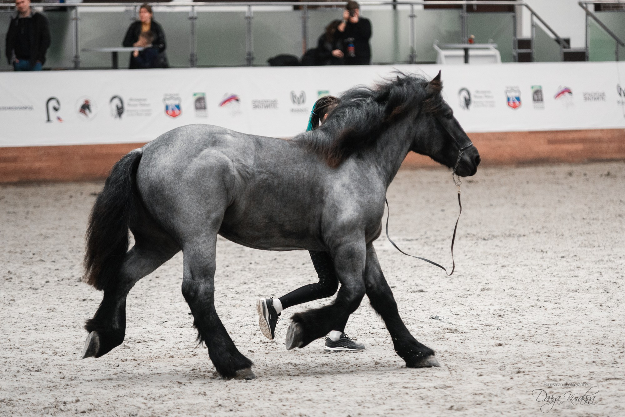 8-я международная выставка Конная Россия. Конный фотограф Куракина Дарья • Фотосессии с лошадьми