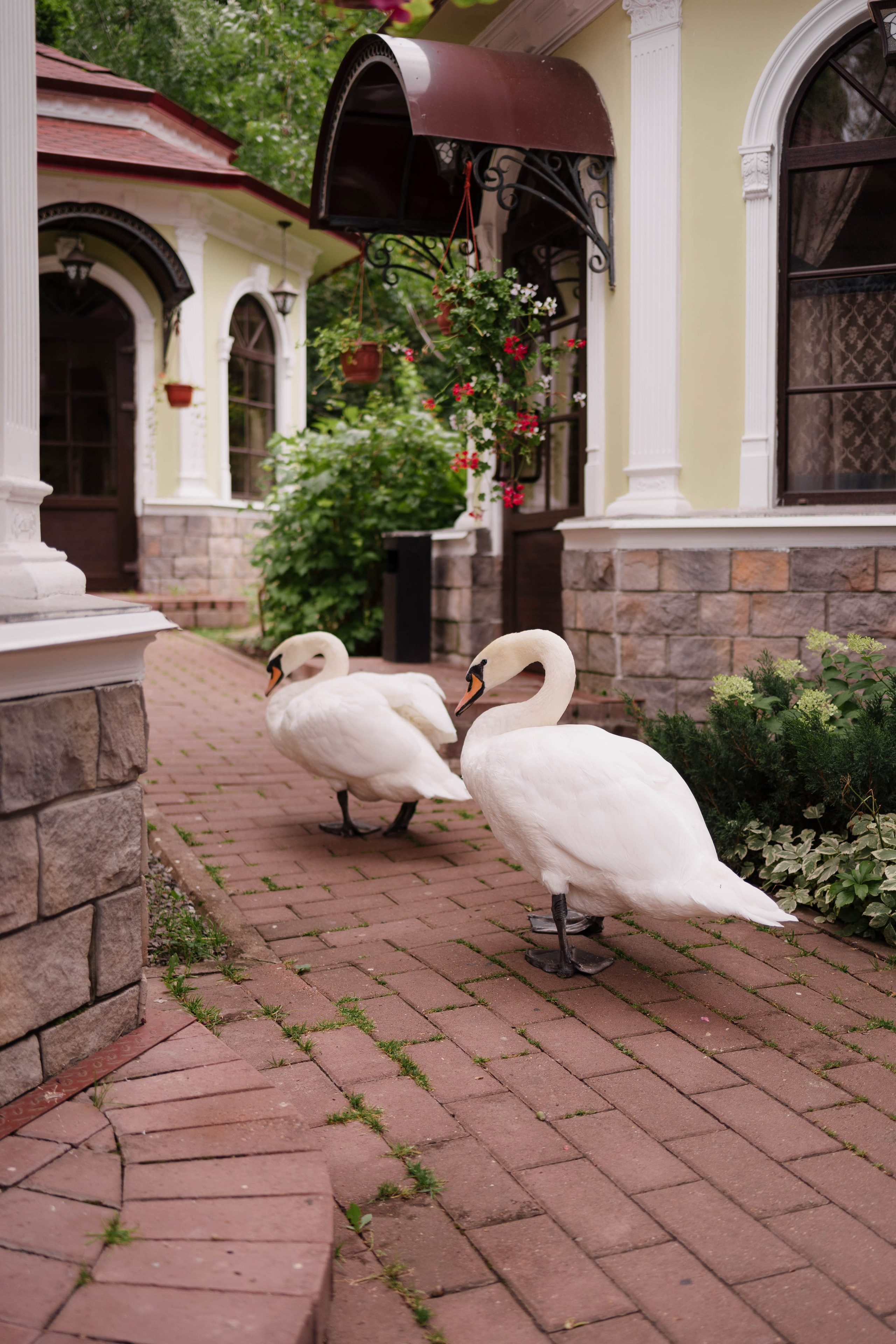 Свадебная фотосессия Арины и Радмира. Свадебный фотограф в Уфе  — Данилова Елена