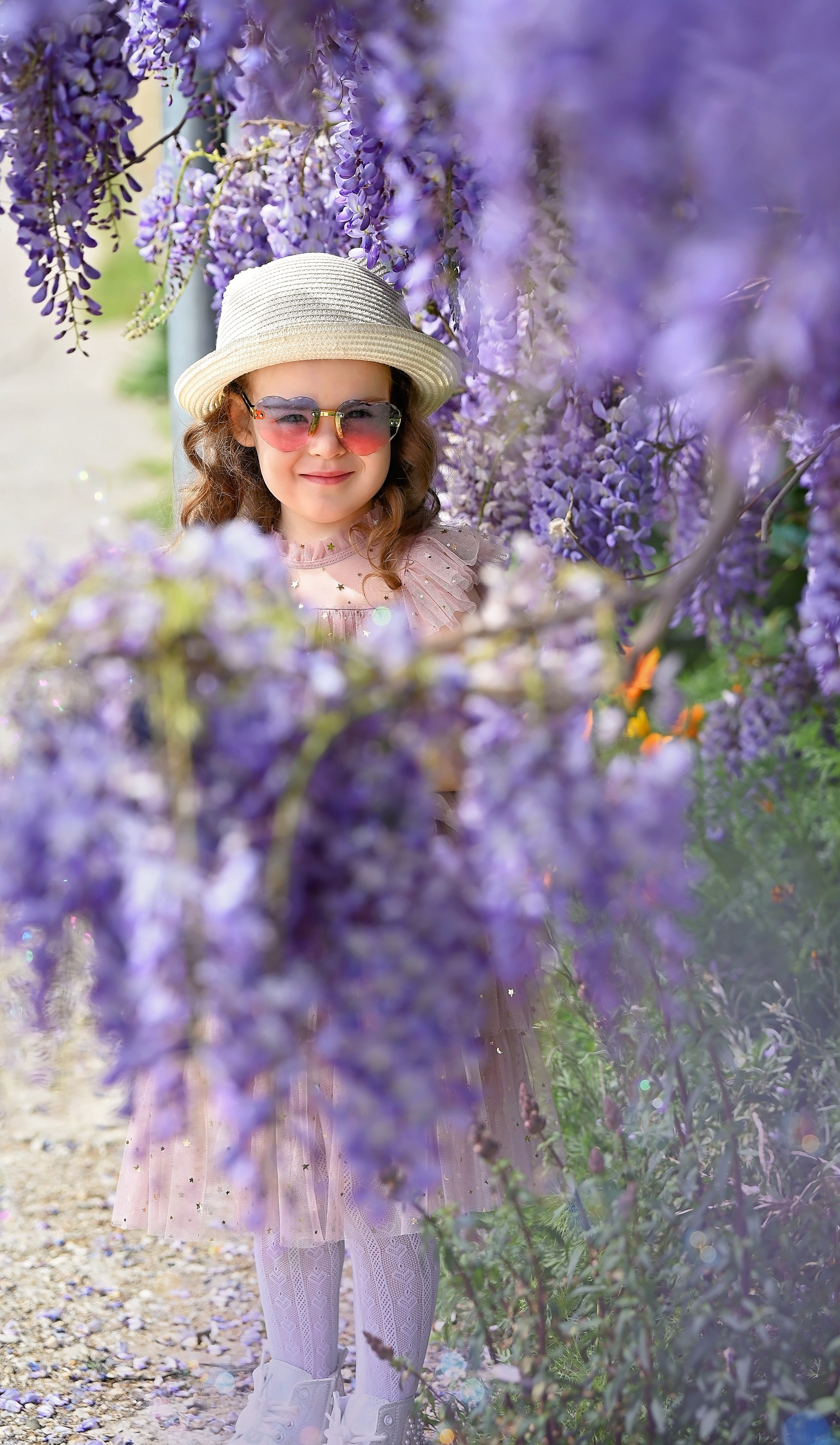 Глициния. Главная