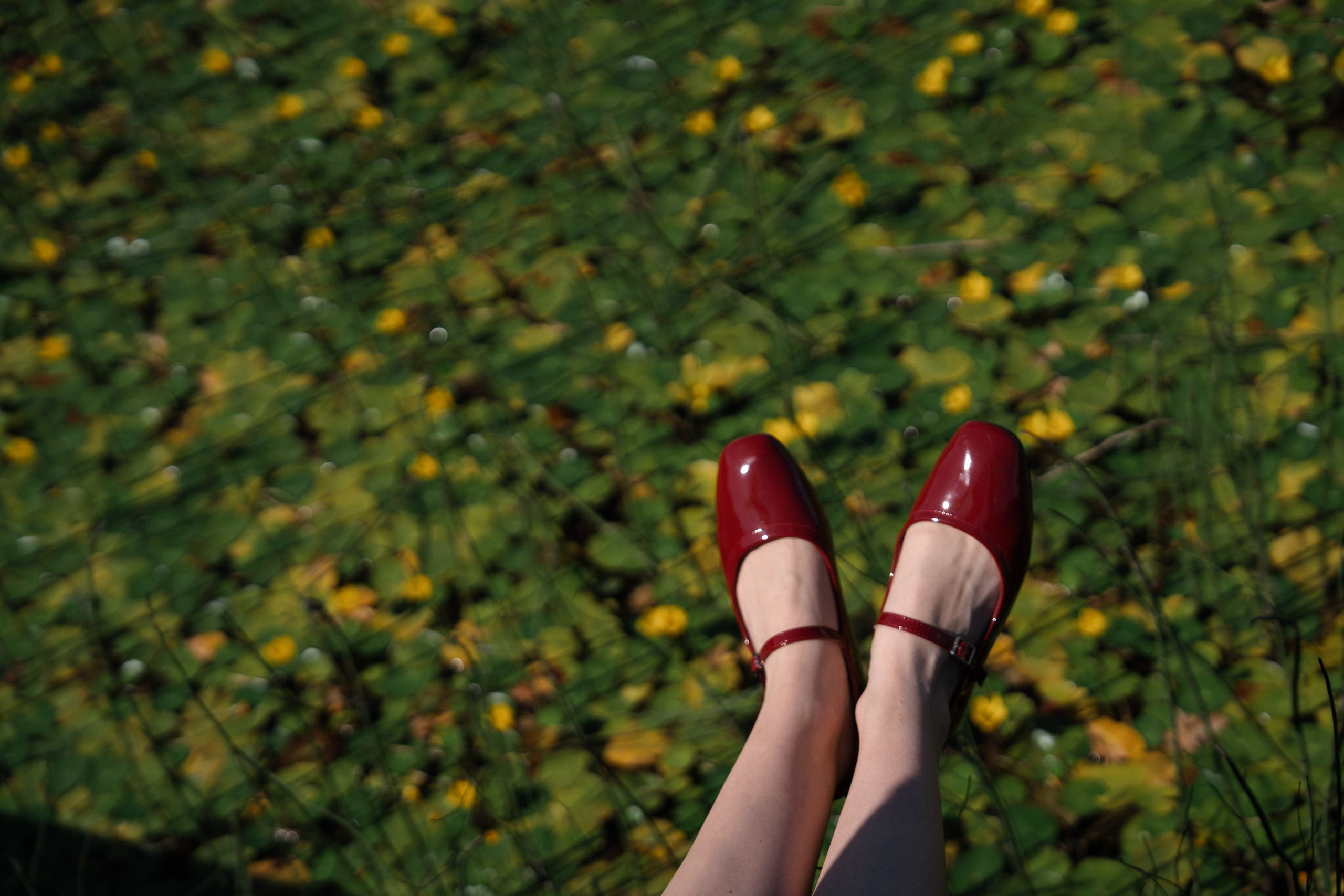 Арина & Иван. Камерная свадьба на природе в стиле в расслабленном стиле. Свадебный фотограф организатор в Санкт-Петербурге Ассоль Опарина