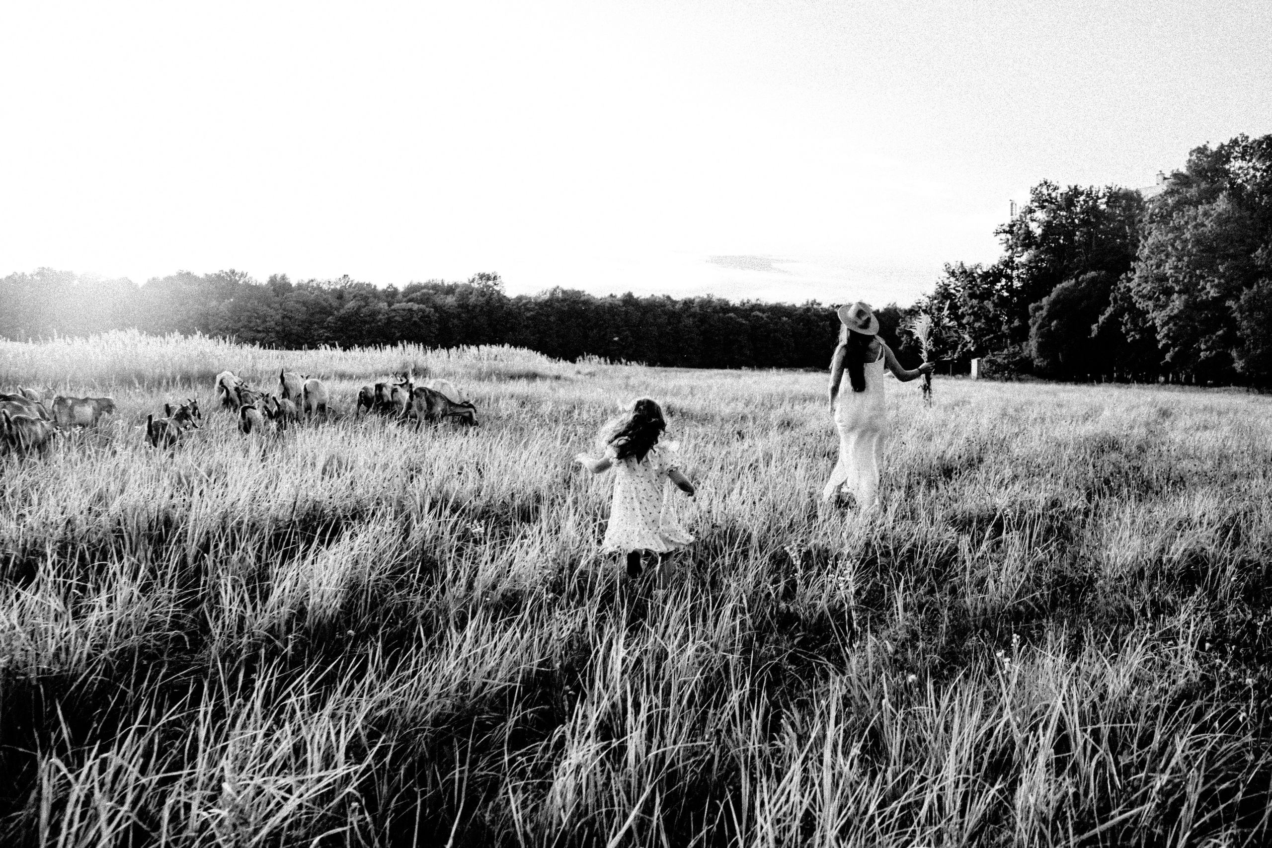 Семейная съемка на закате