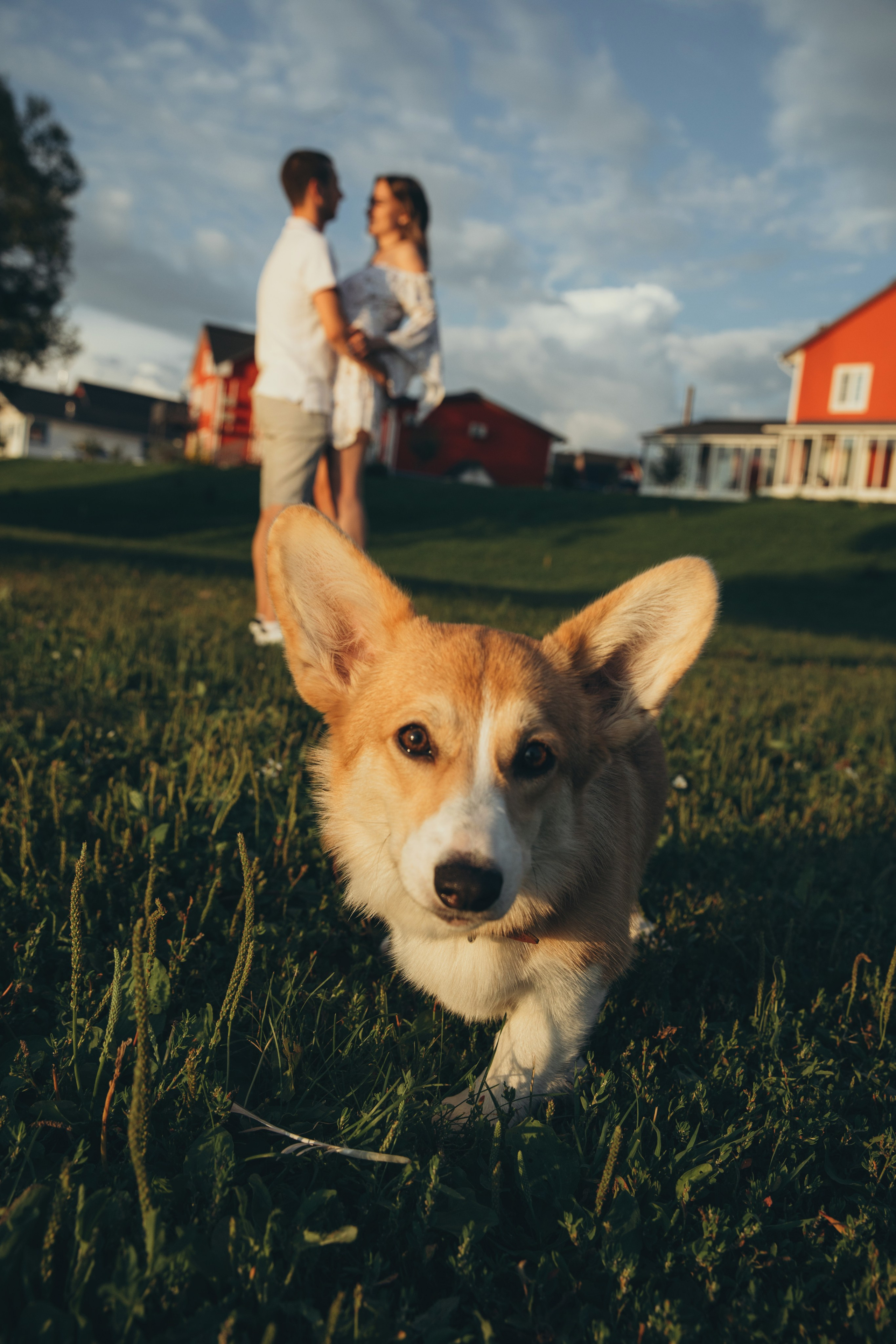 4 лапы, 2 пары ног и одно сердечко на троих ❤. Фотограф Анастасия Романова Рязань