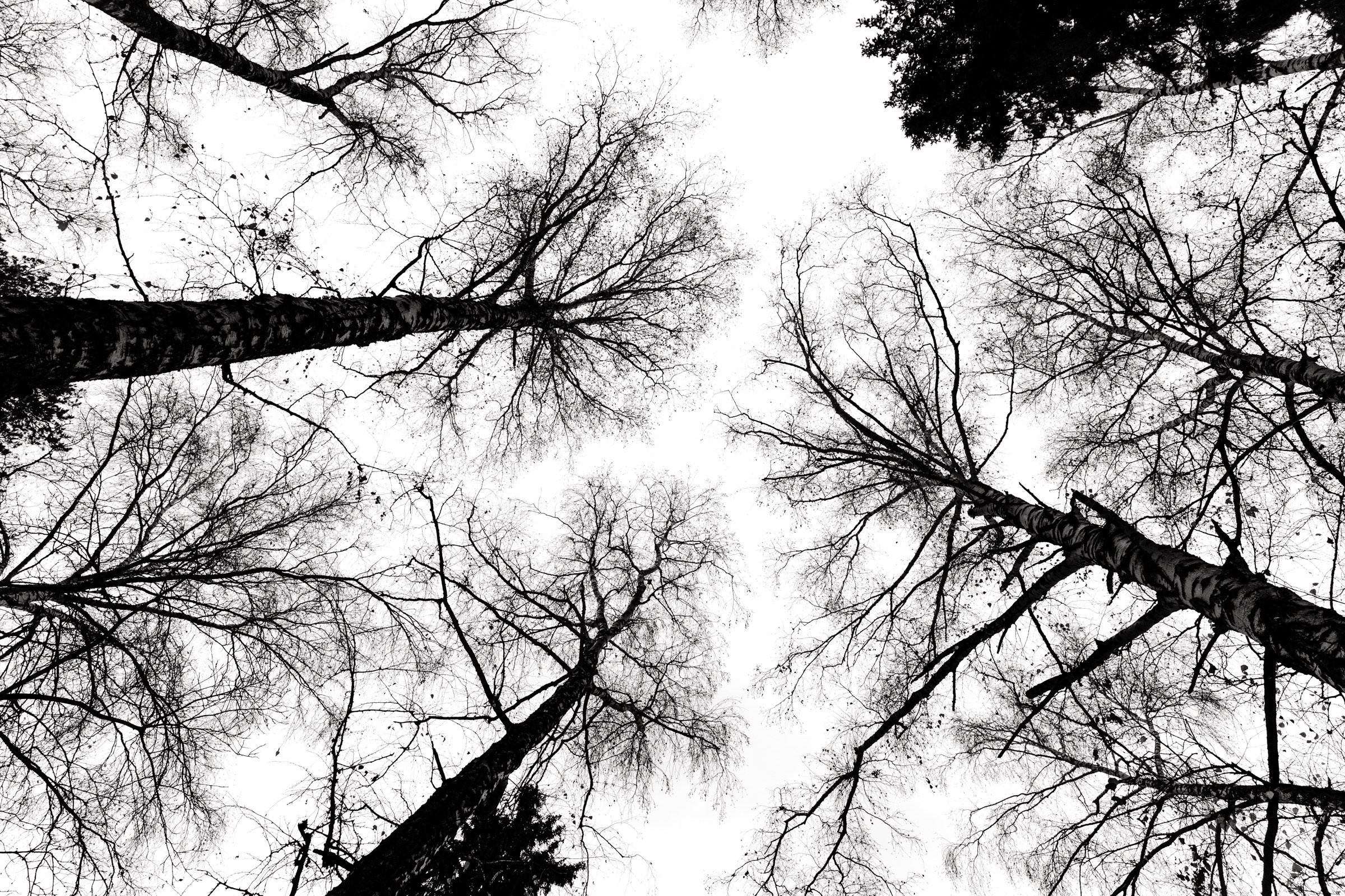 Пейзажи, Архитекура. Портретный фотограф Новосибирск