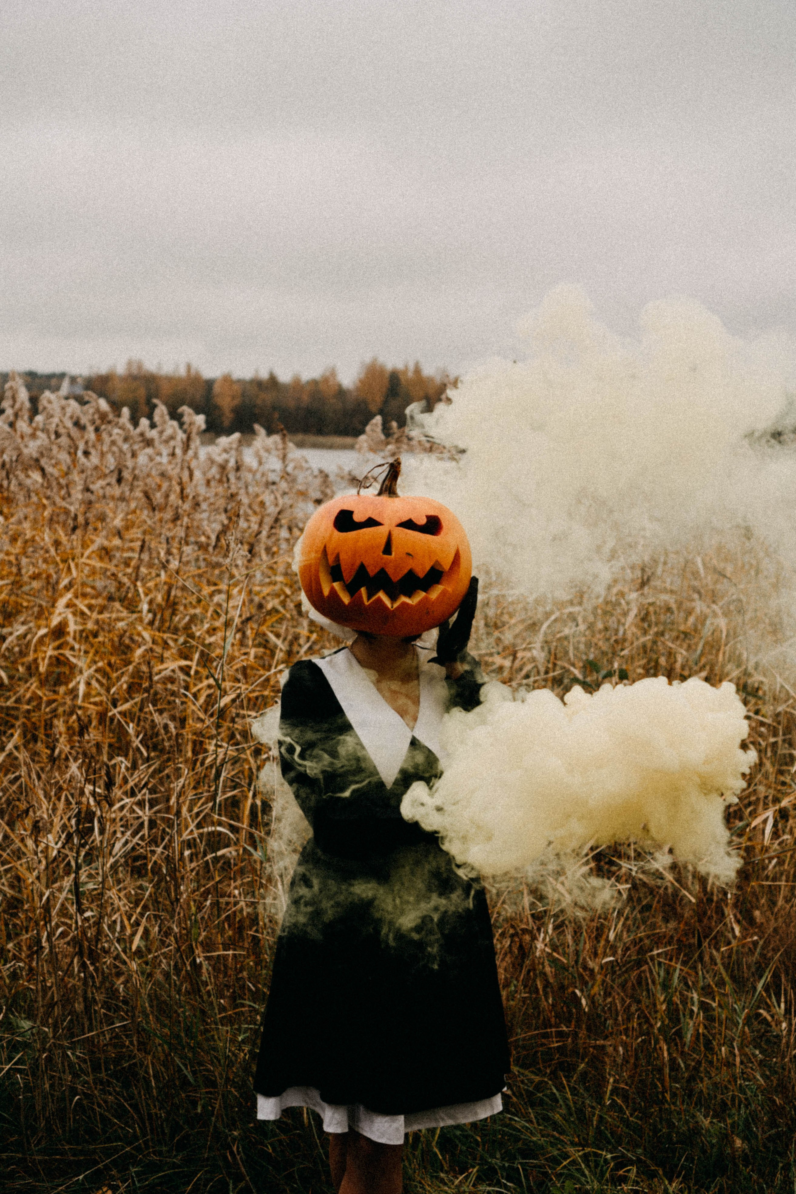 Осеняя. Профессиональный фотограф, Санкт-Петербург — Виктория Богомолова