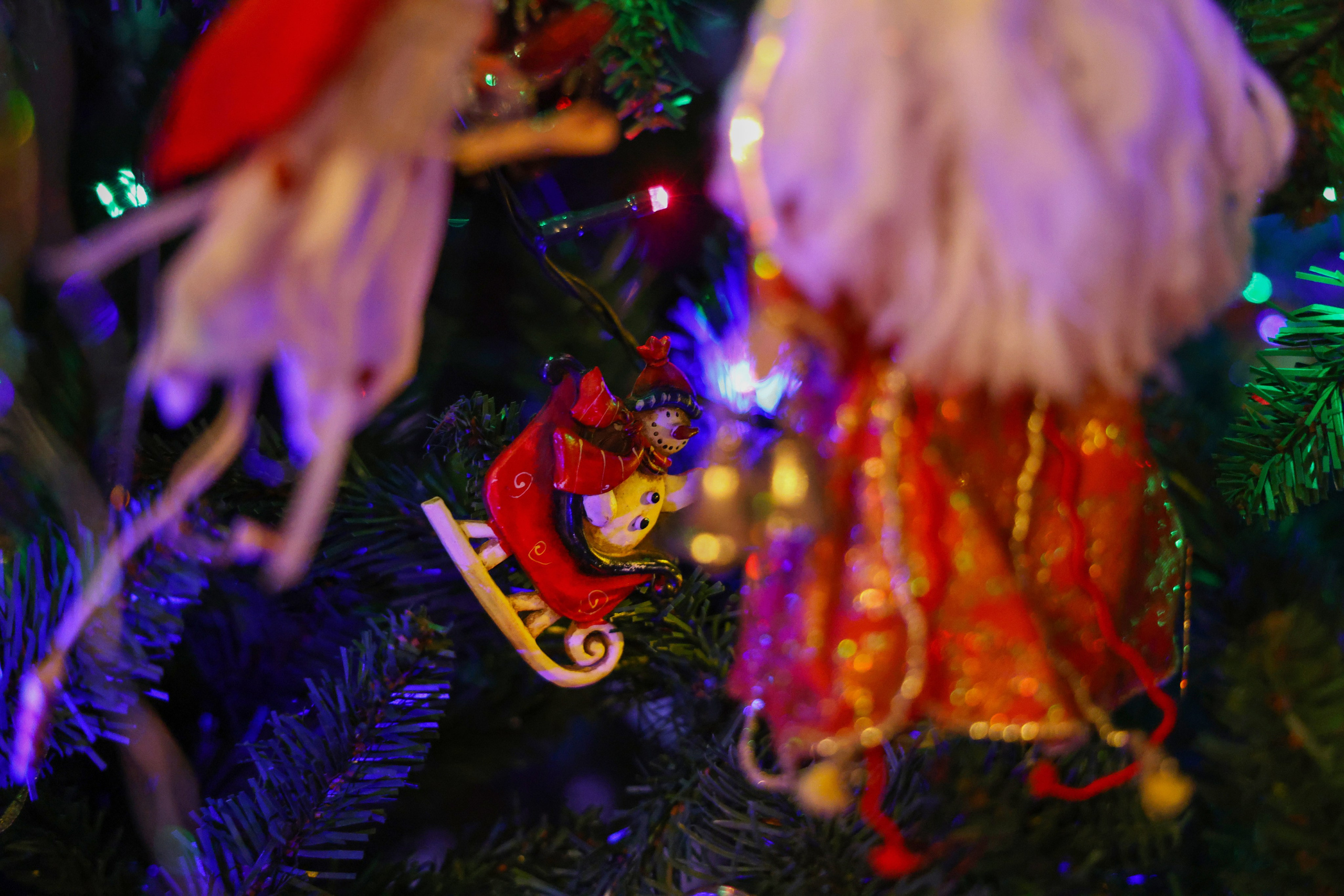 Christmas tree. Portrait photographer based in Toronto — Blinova Mariia