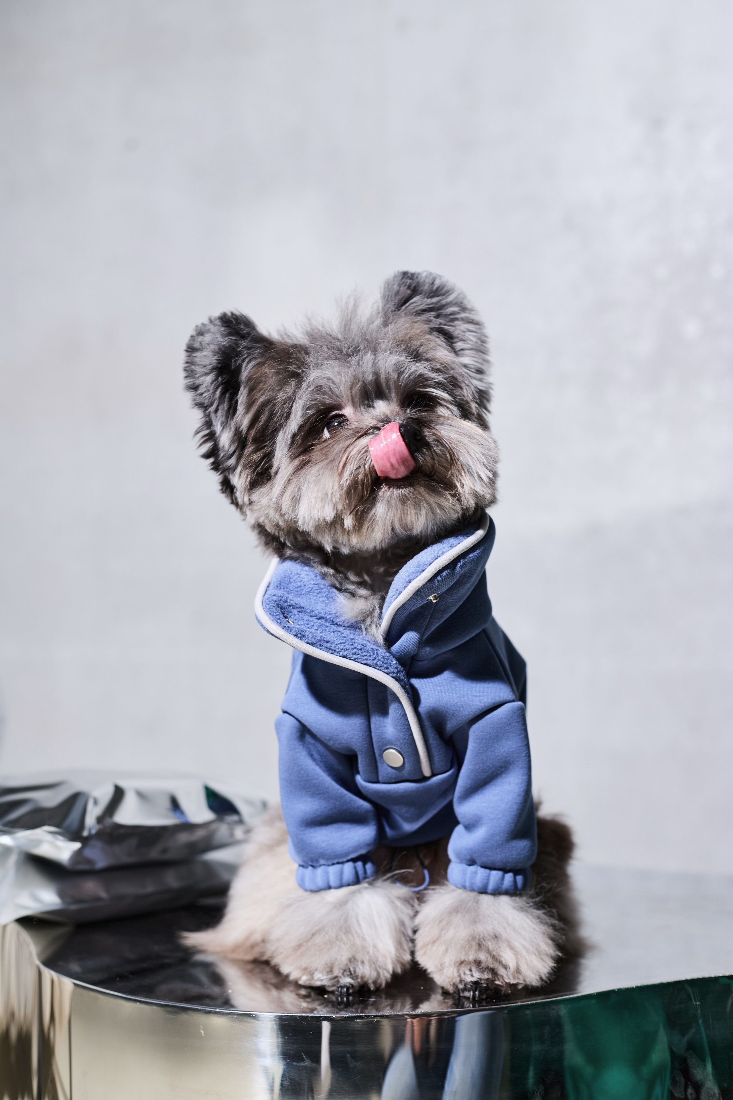 Big Lap Club. Фотограф|Москва-СПб| Анастасия Рябинина