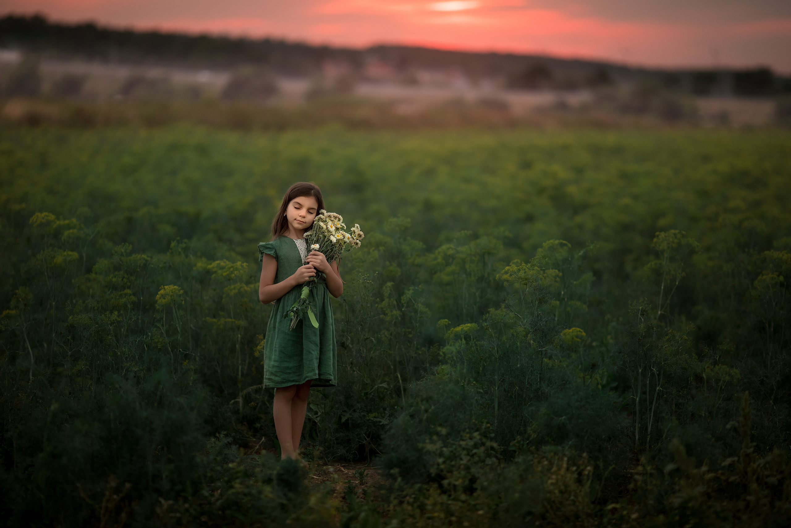В кукурузе. Семейный и детский фотограф Елена Коловицкова