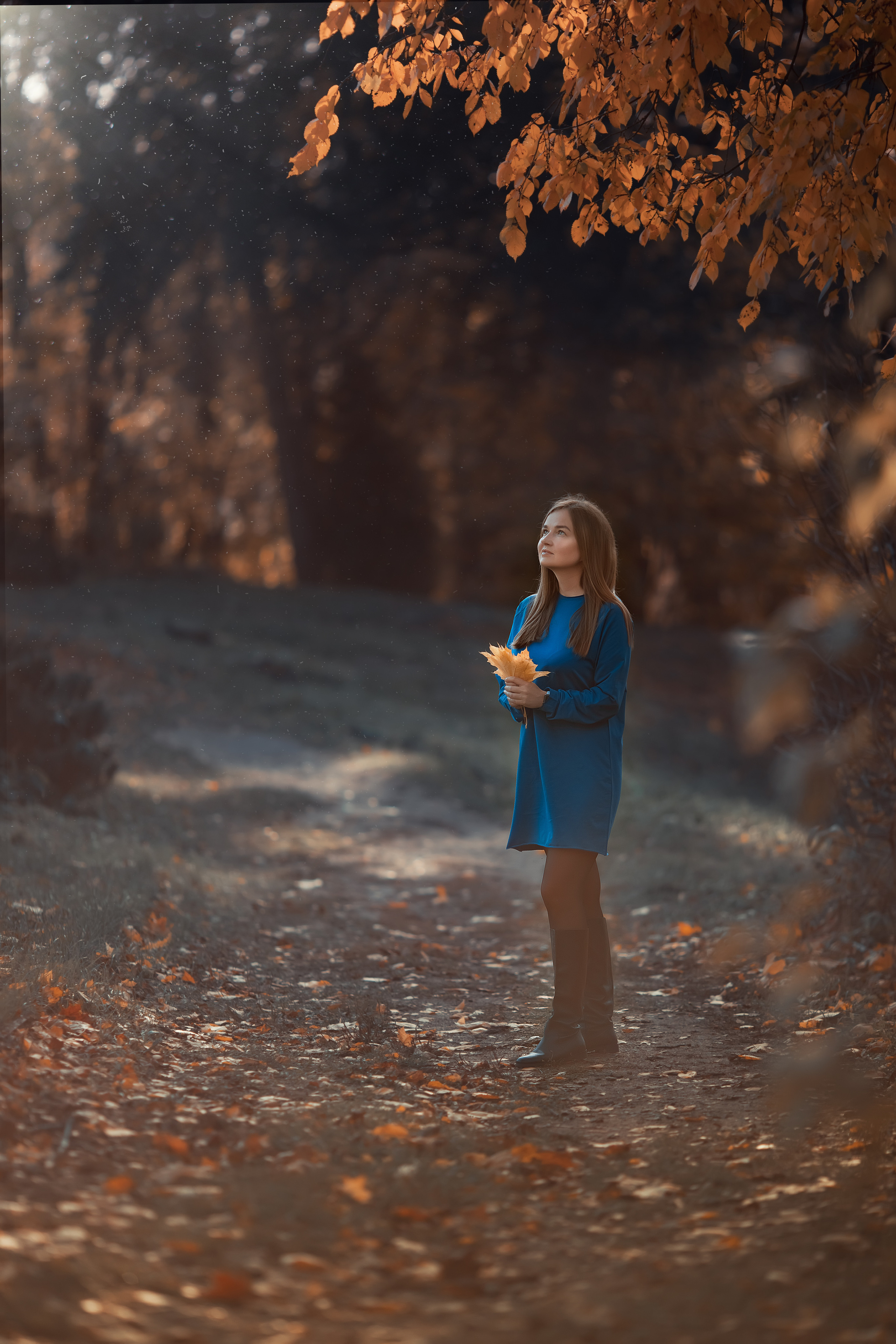 Дыхание осени. Семейный и детский фотограф Елена Коловицкова