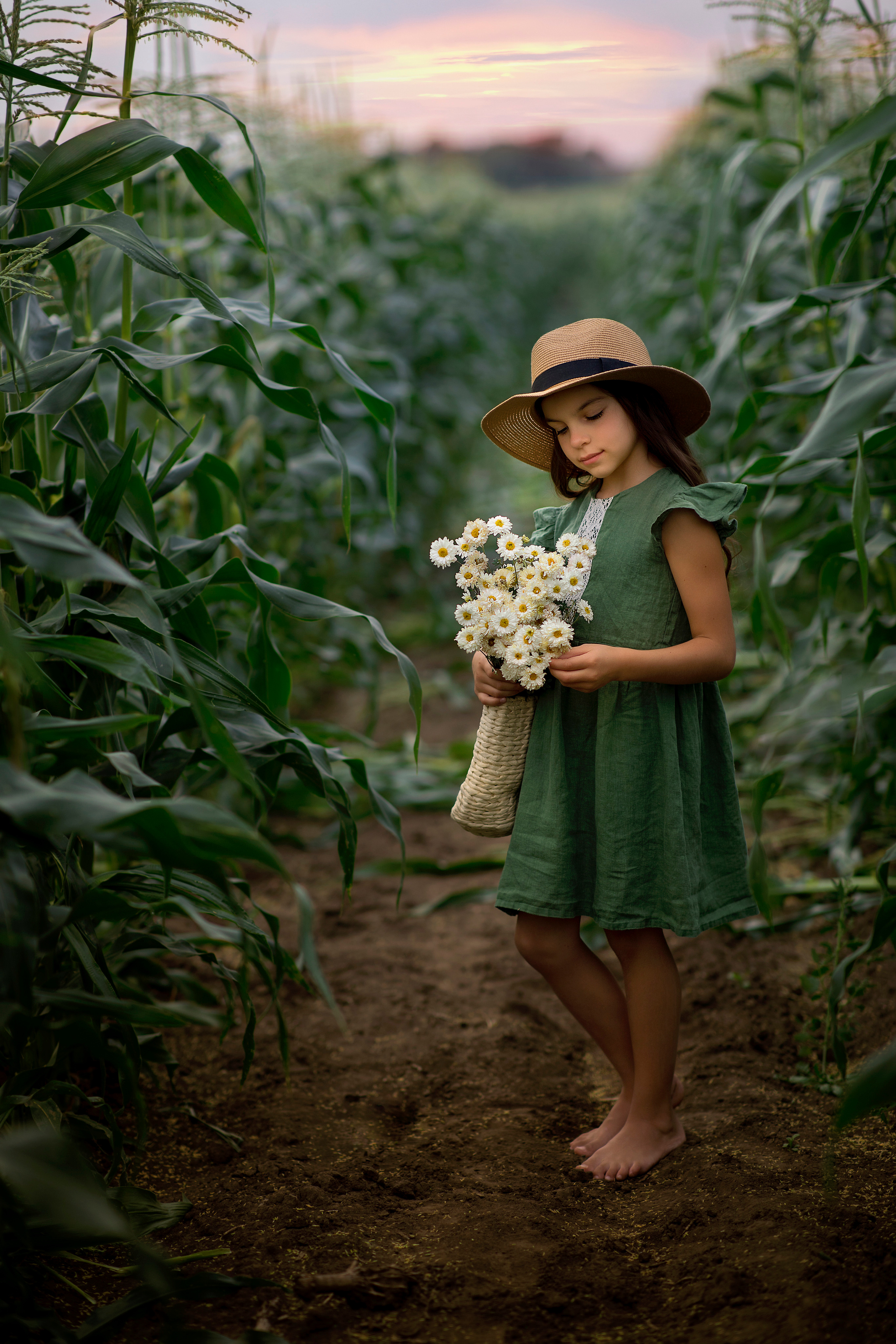 В кукурузе. Семейный и детский фотограф Елена Коловицкова