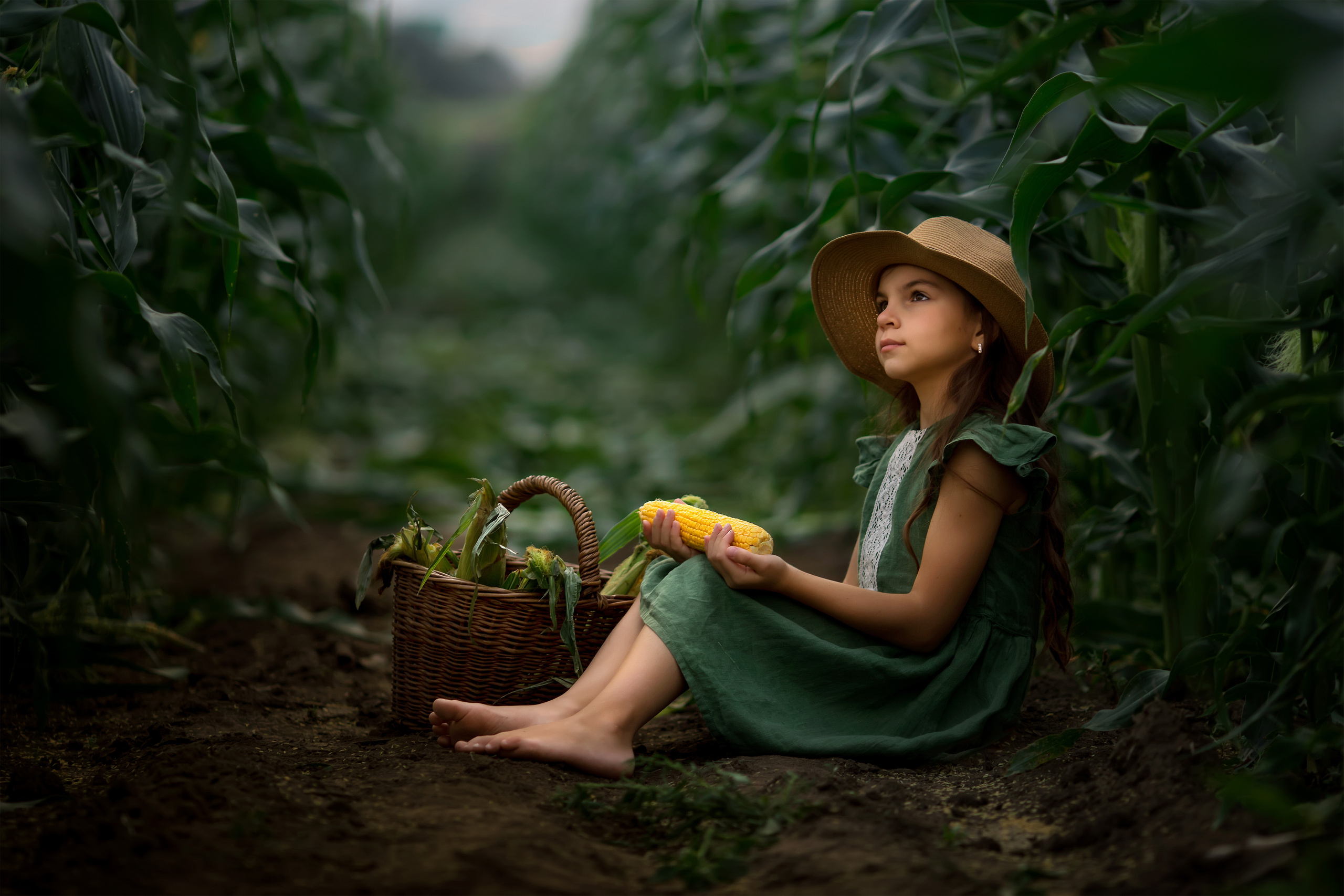 В кукурузе. Семейный и детский фотограф Елена Коловицкова