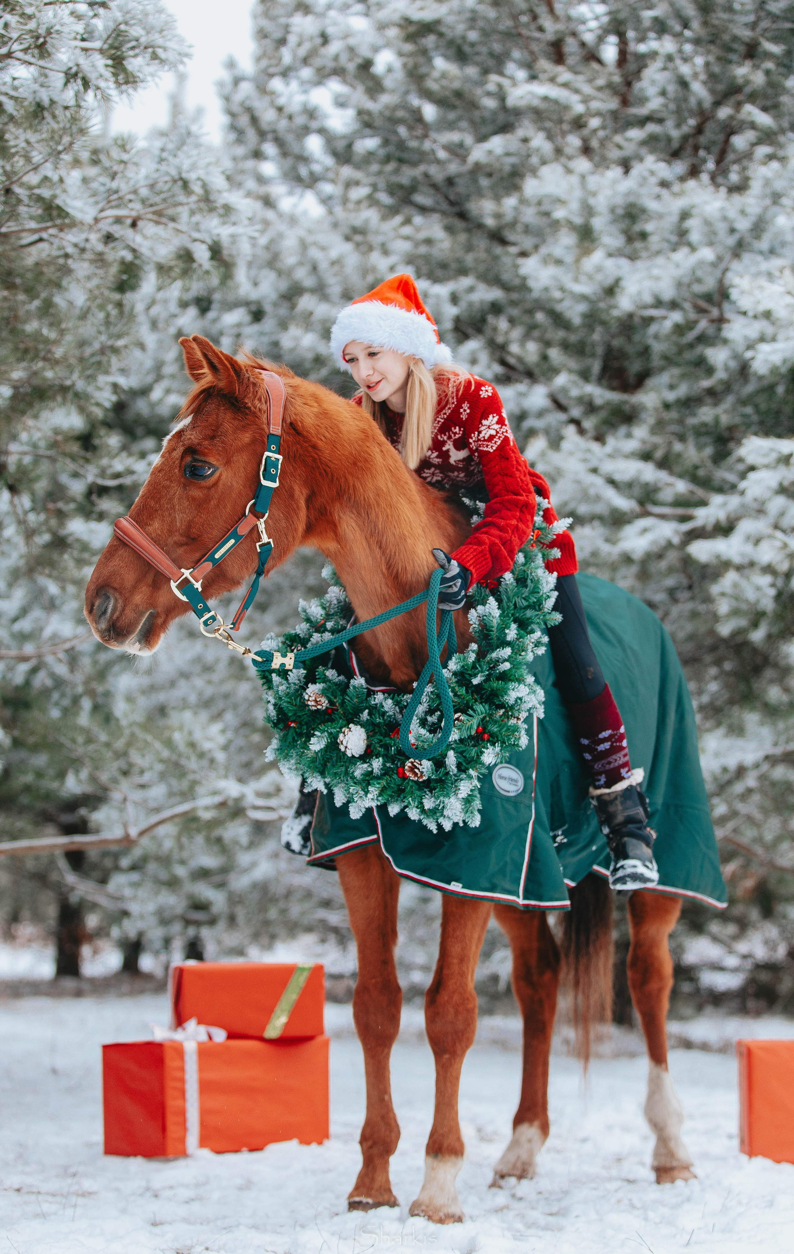 Фото день в ЧК «Орлёнок» — Новый год. Главная