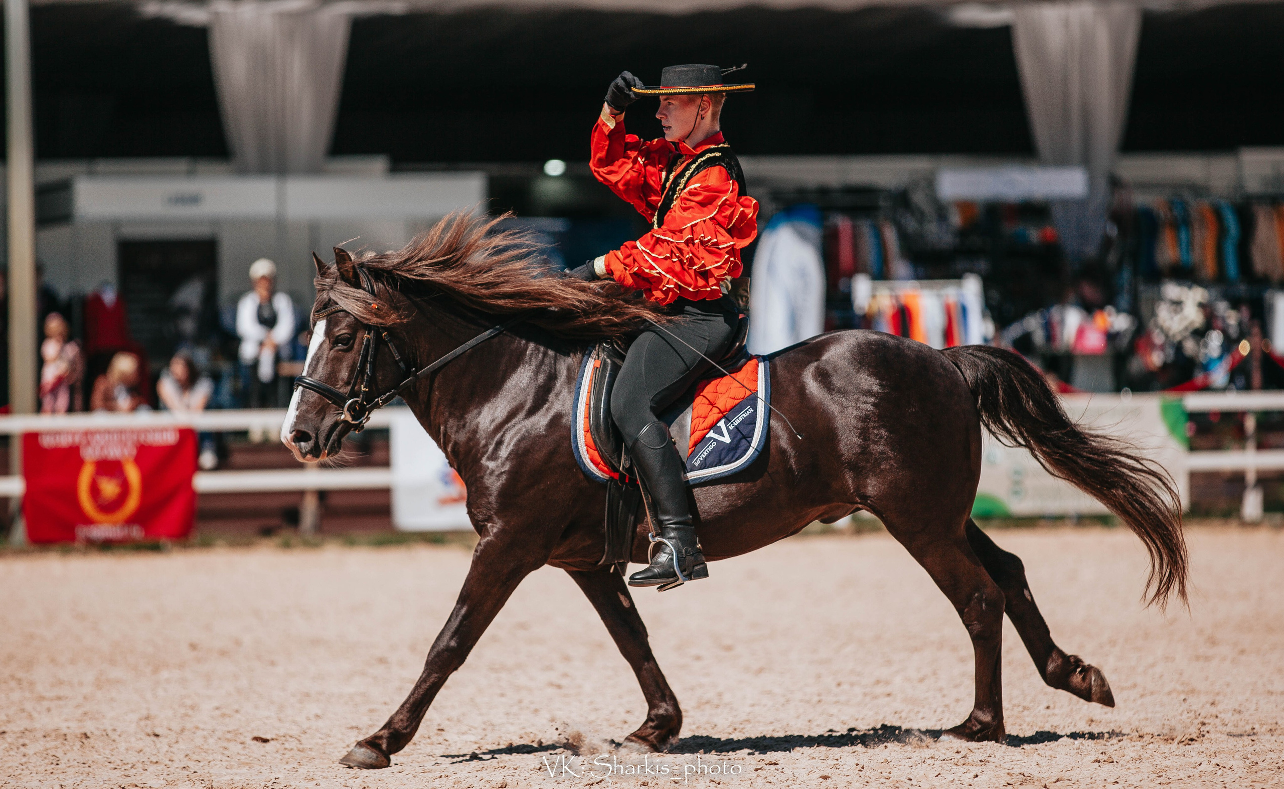 Лошади. Главная