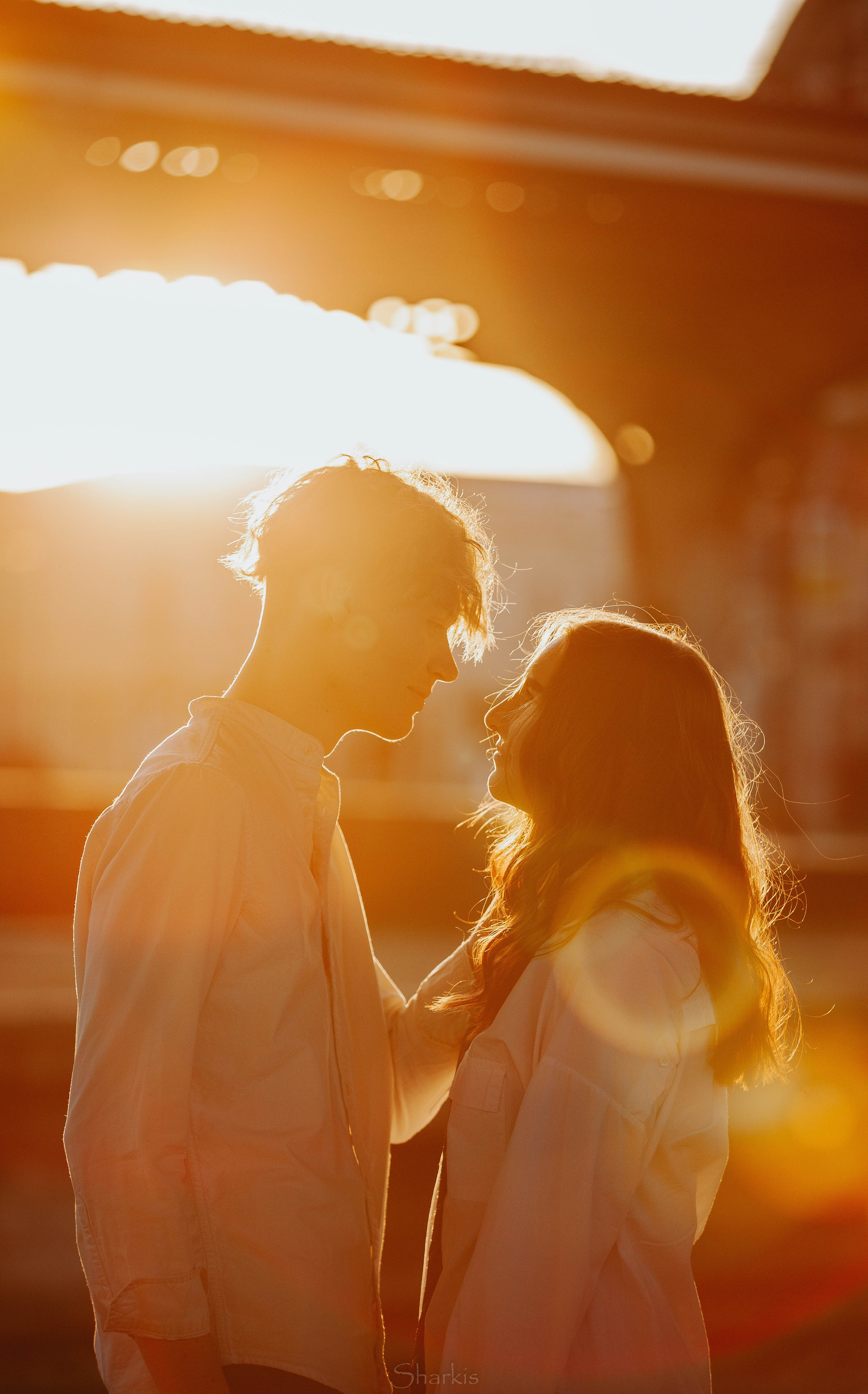 Лев и Вероника. Главная