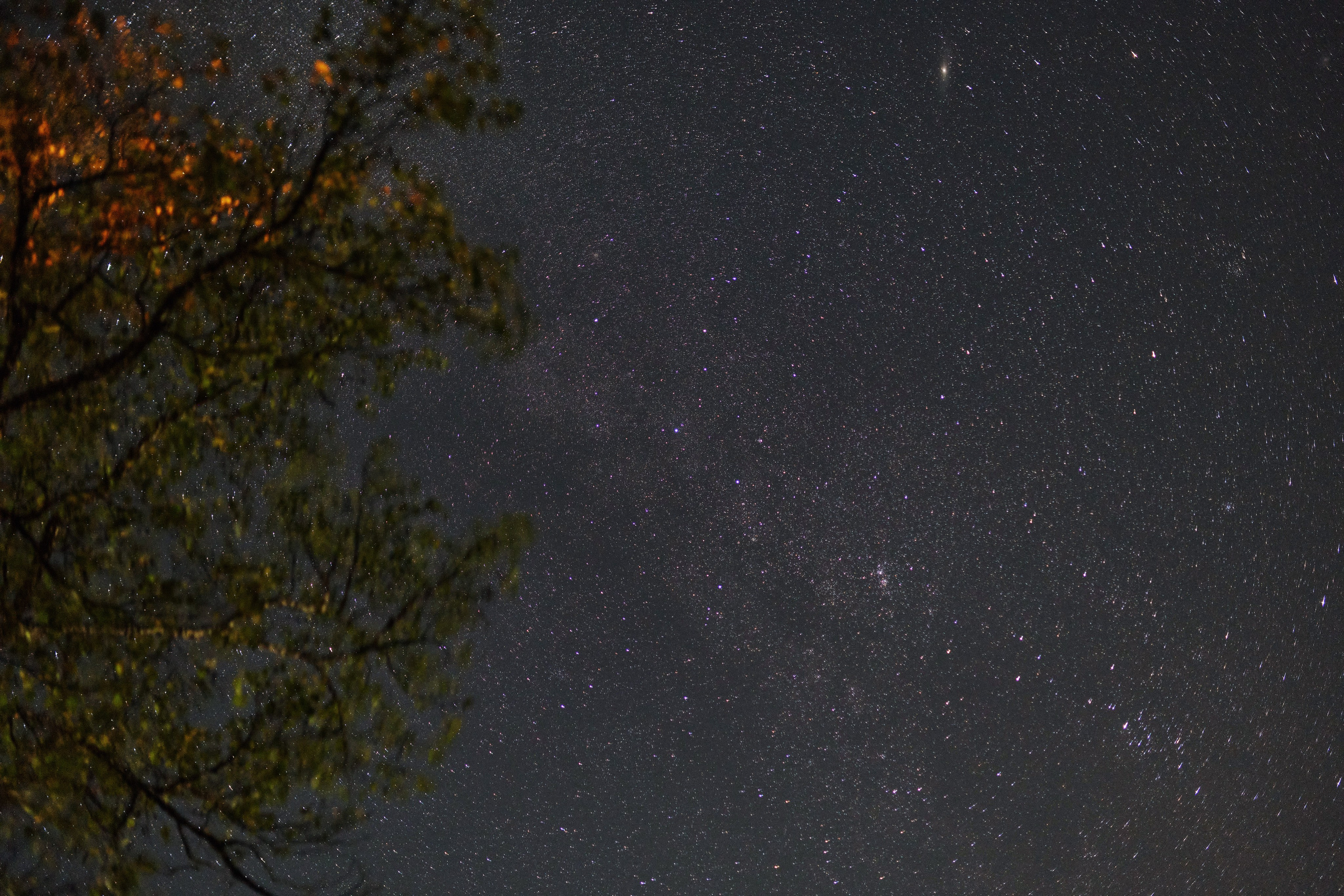Звёздное небо прямо у дома - фото в высоком разрешении