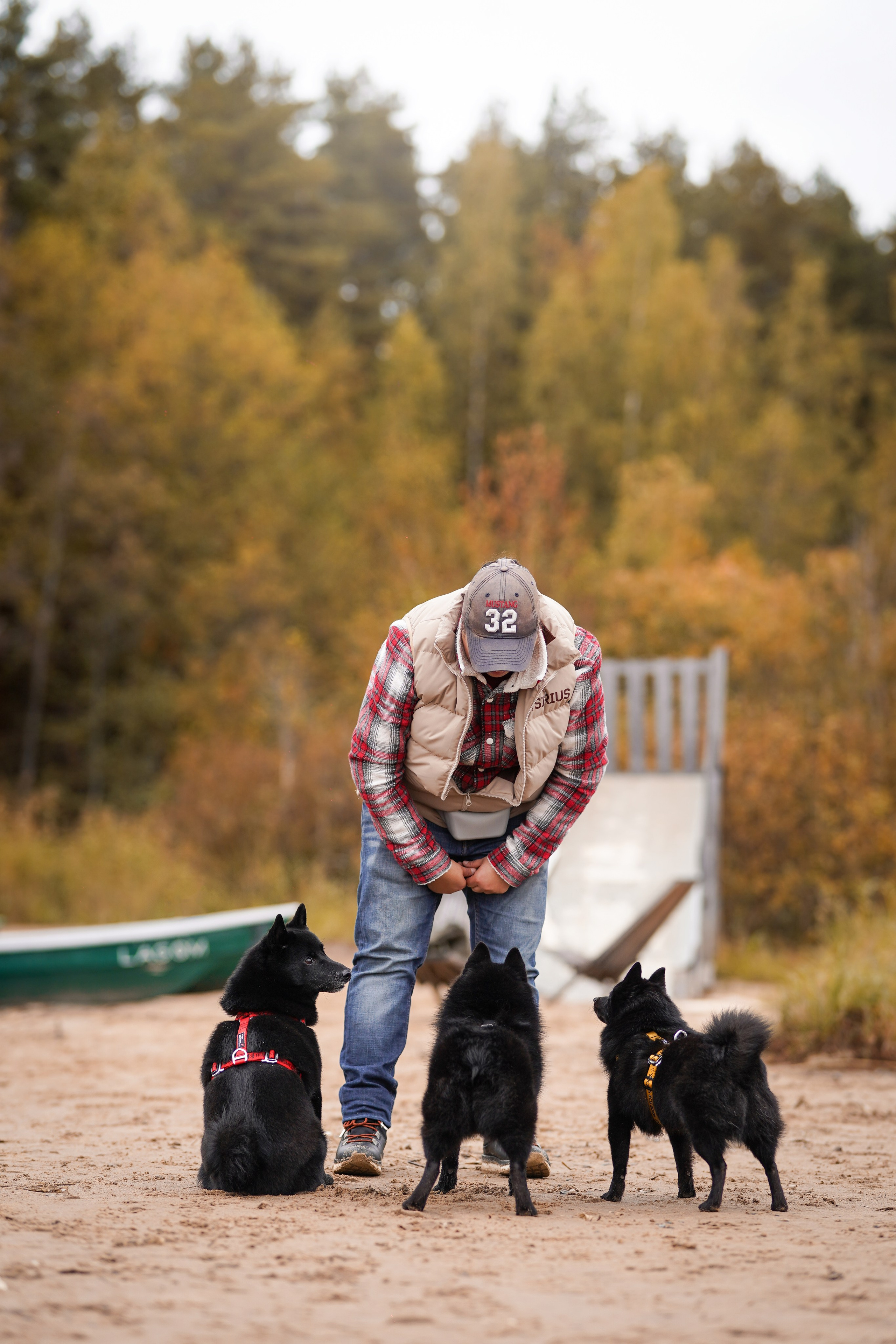 Аня Мишель Арчи и Майкл. Фотограф-анималист в Санкт-Петербурге Яна Мартынова