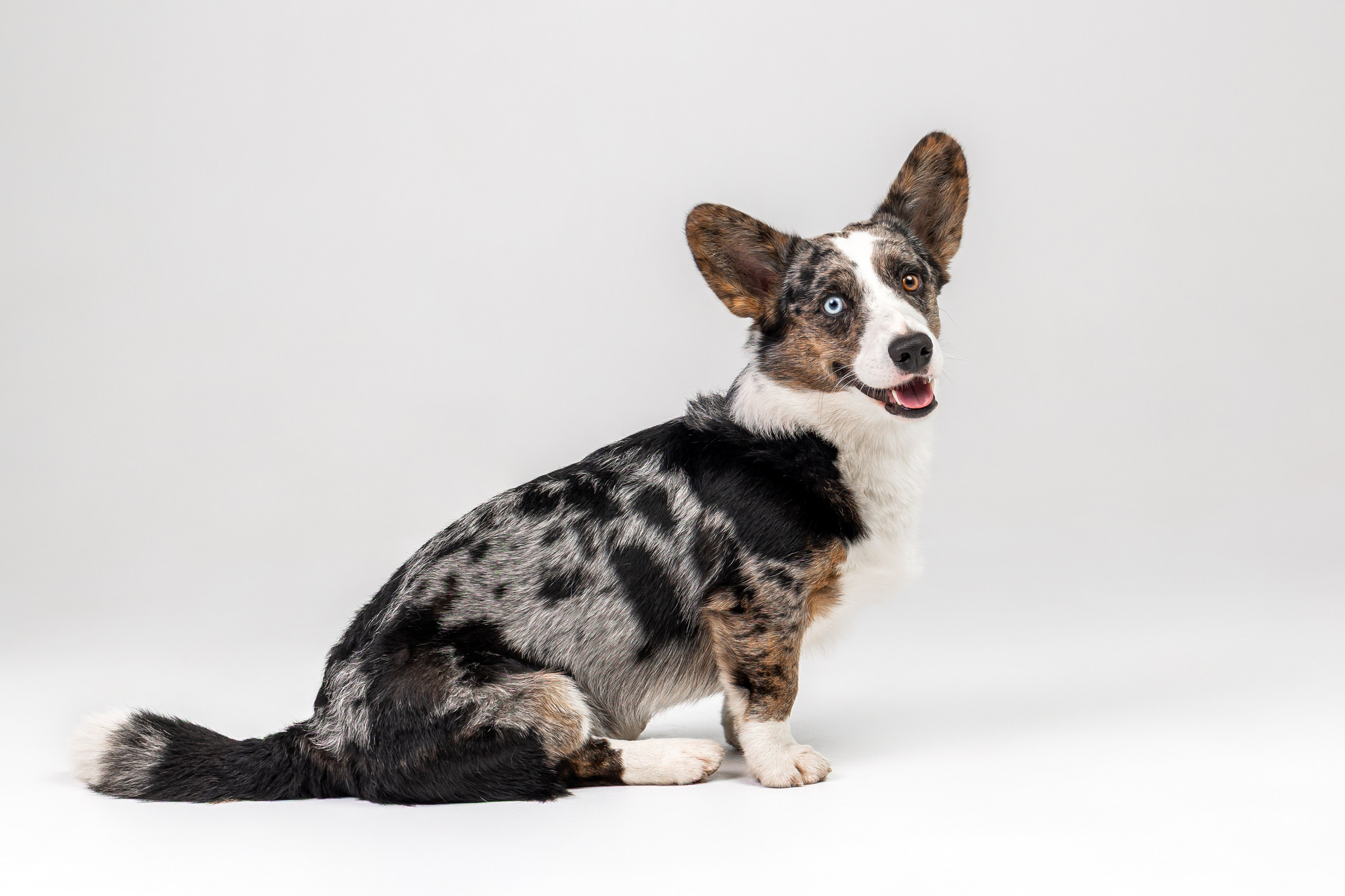 Анатолий и Рагнар