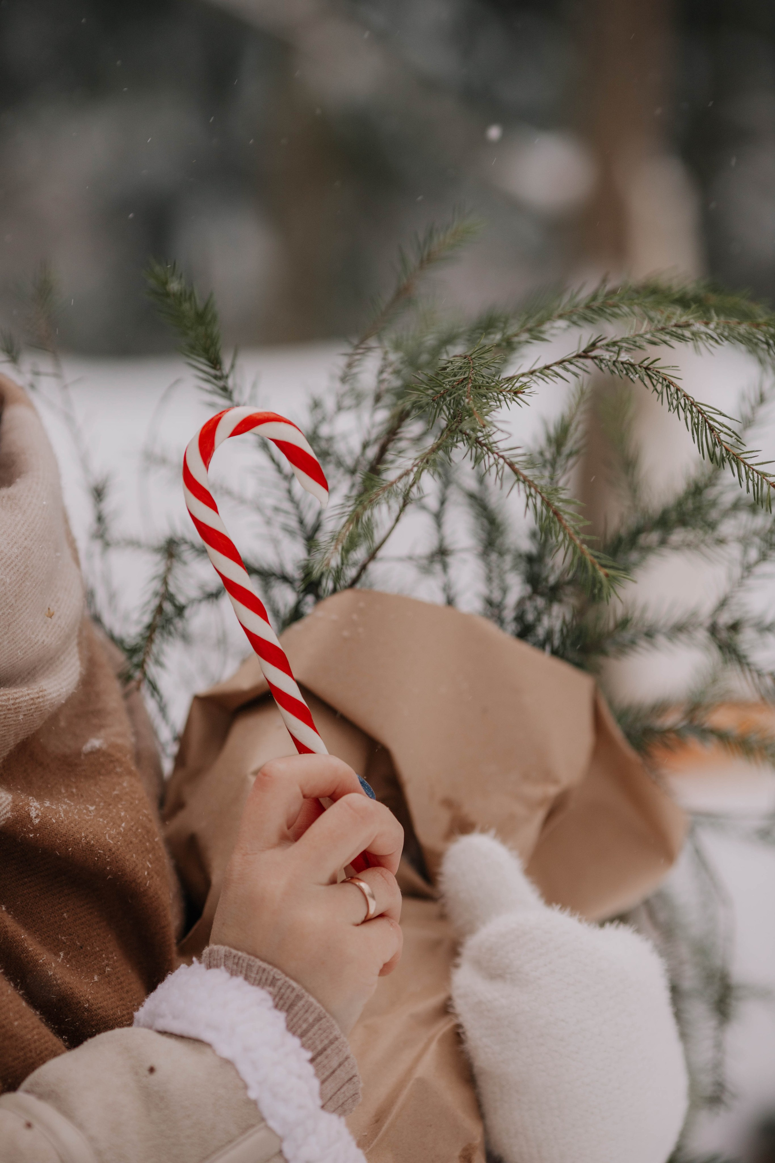 Лиля и семья Зимняя прогулка в лесу. Семейный и свадебный фотограф Видное Москва Екатерина Пятова