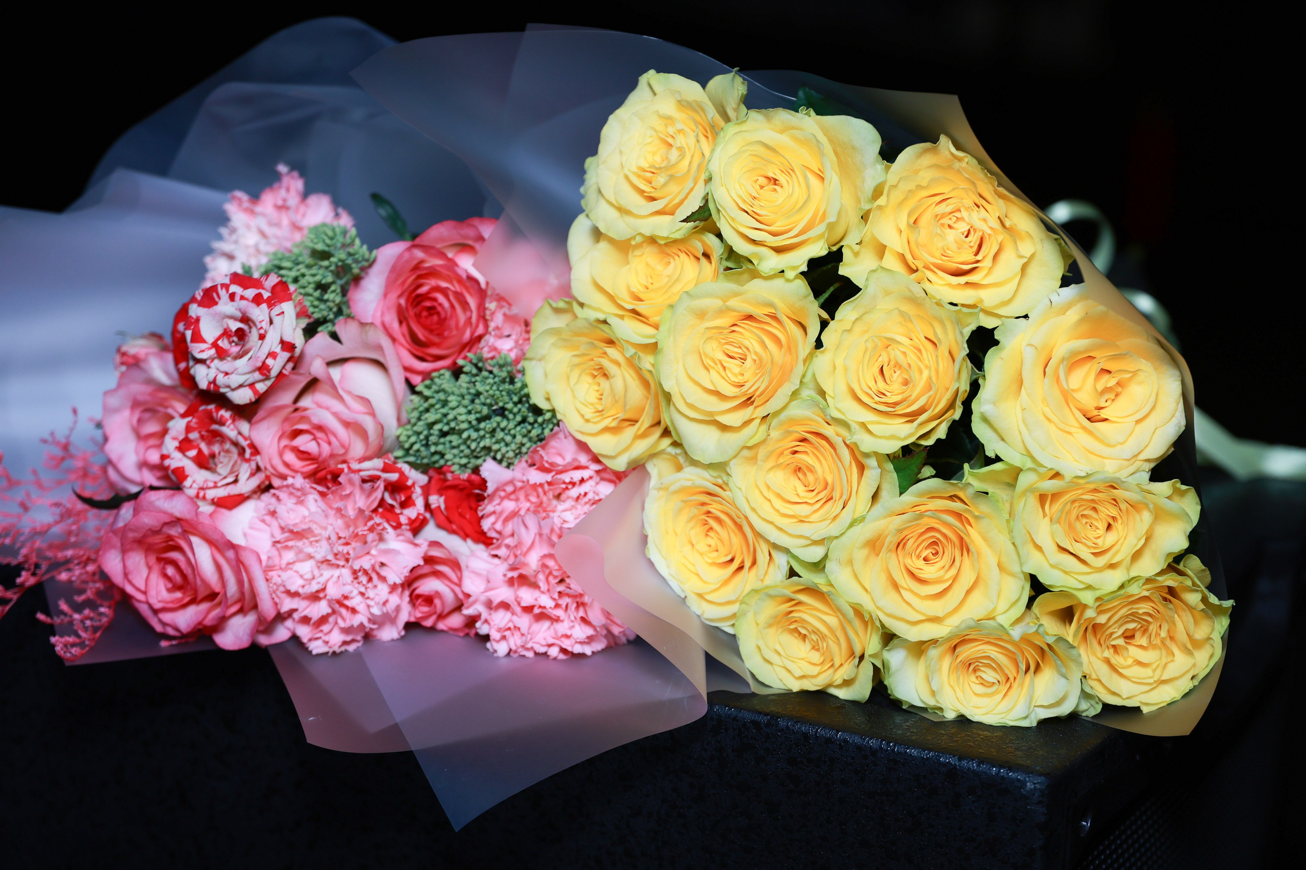 День рождения Академия SAN VALERO. Фотограф Юлия Мальцева