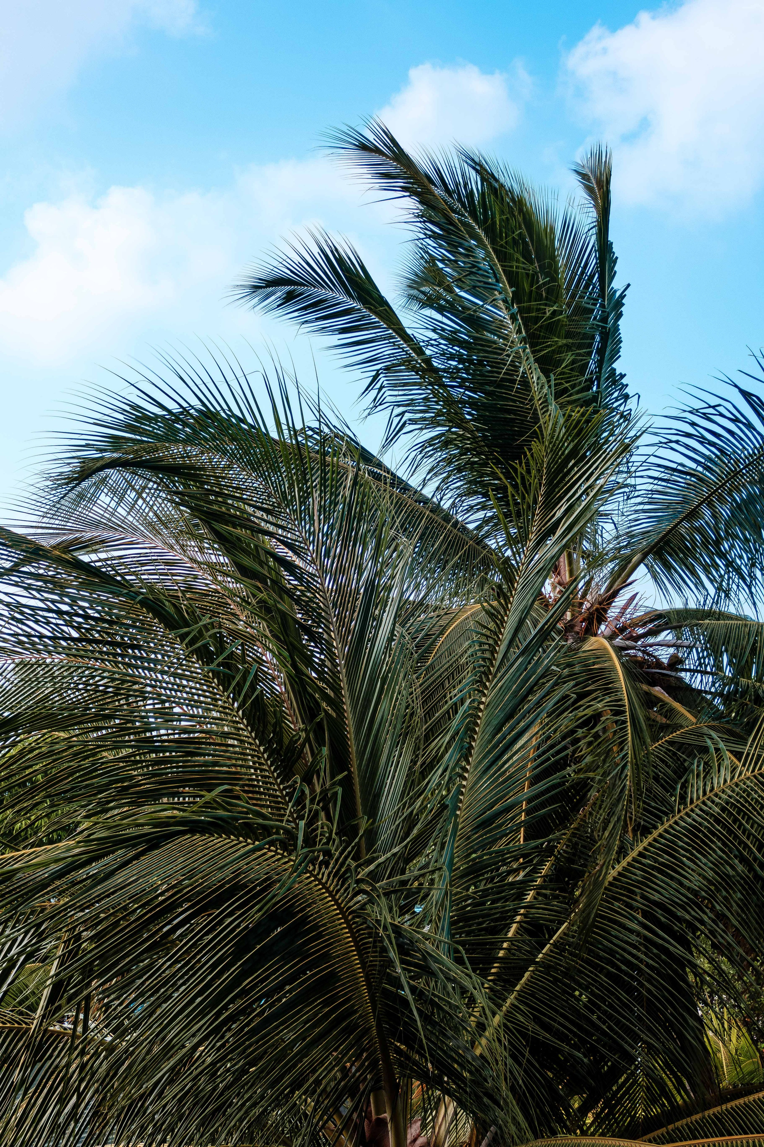 О.Тулусду. Мальдивы. Фотограф Светлана Голицына