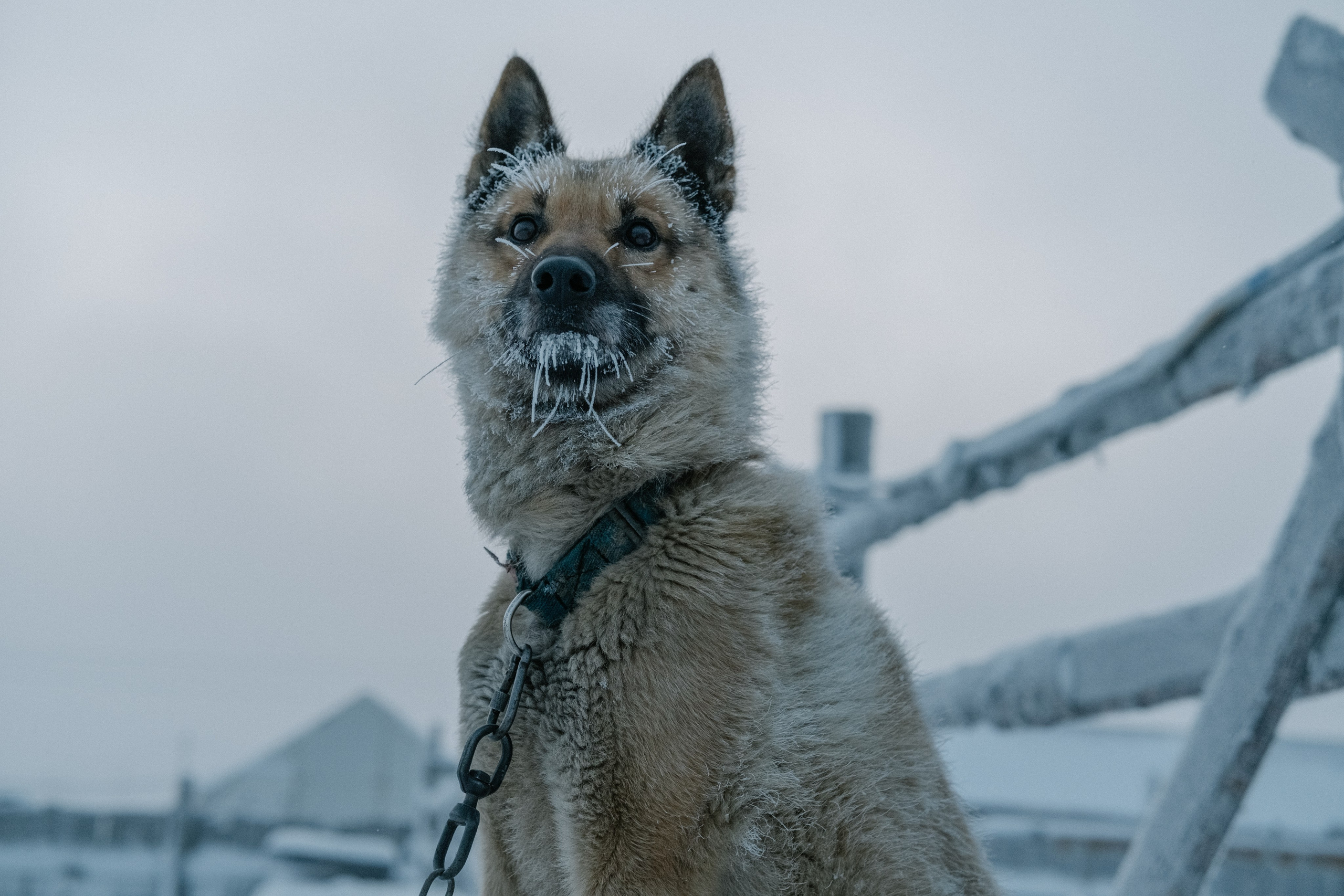 Фотографии Териберки | Филипп Линзин. Репортажный и портретный фотограф в Санкт-Петербурге Филипп Линзин