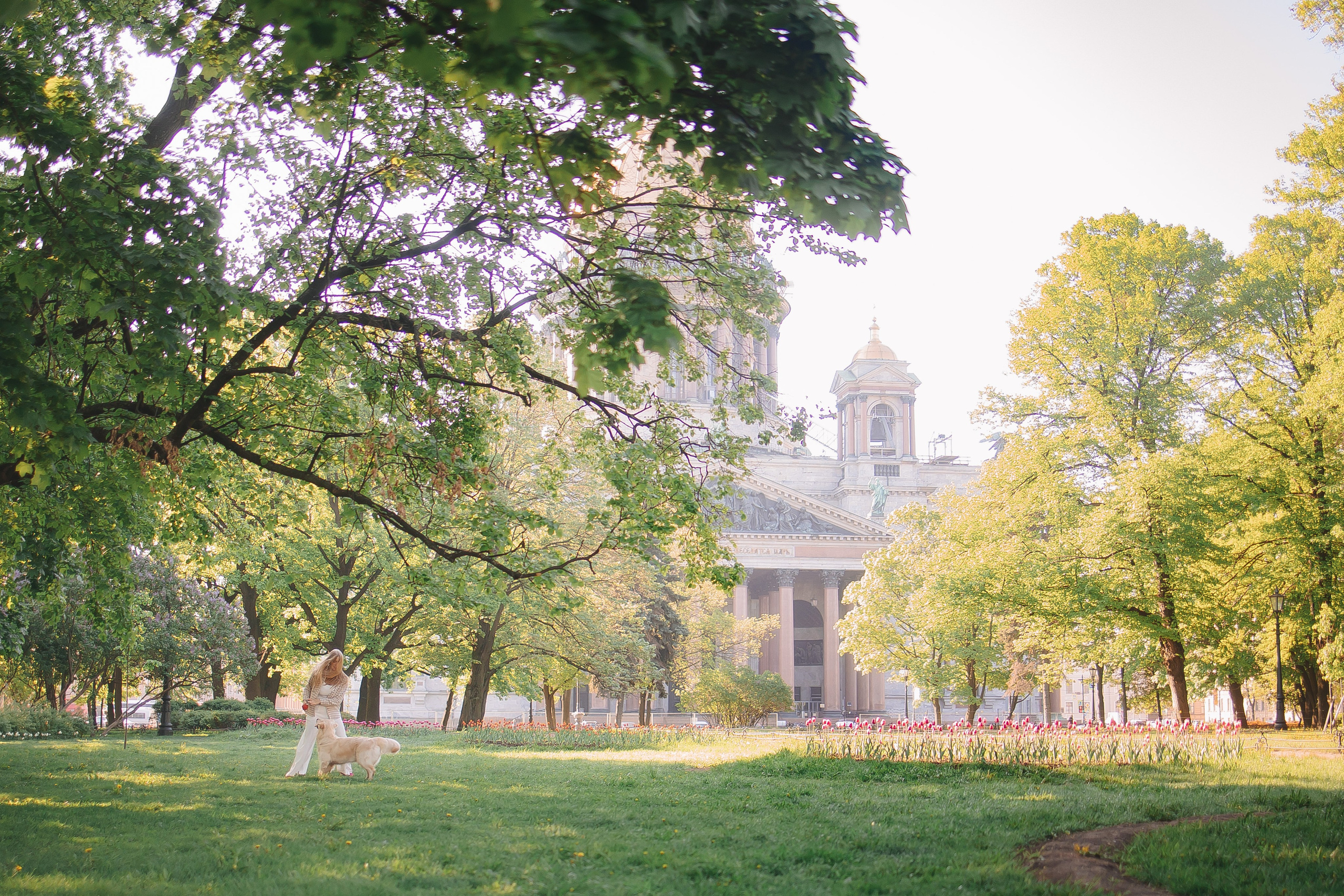 Золотистый ретривер Мона, Питер. Свадебный и женский фотограф