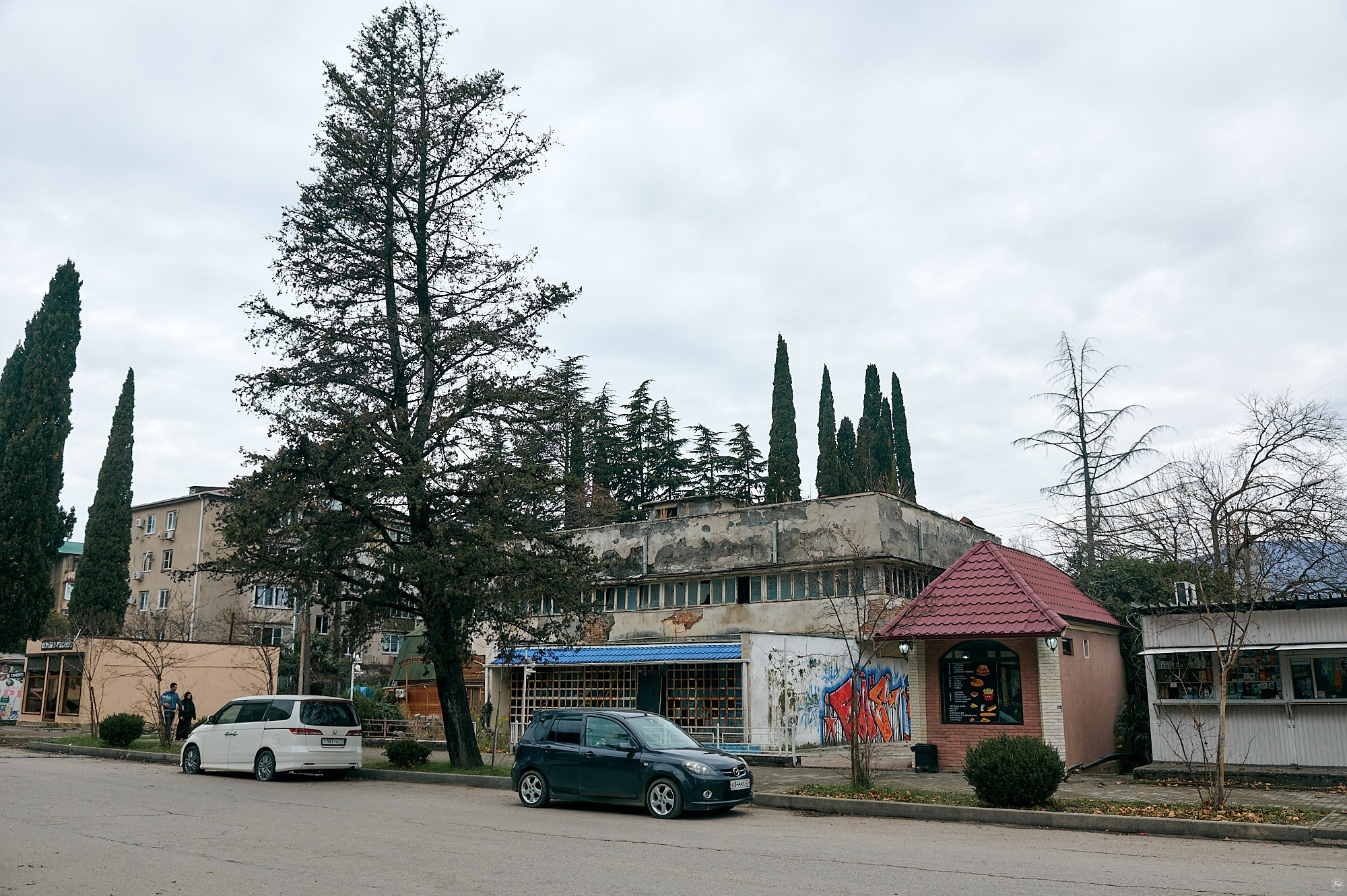 Гагра, Абхазия. Декабрь 2024. Фотографии отовсюду и обо всем