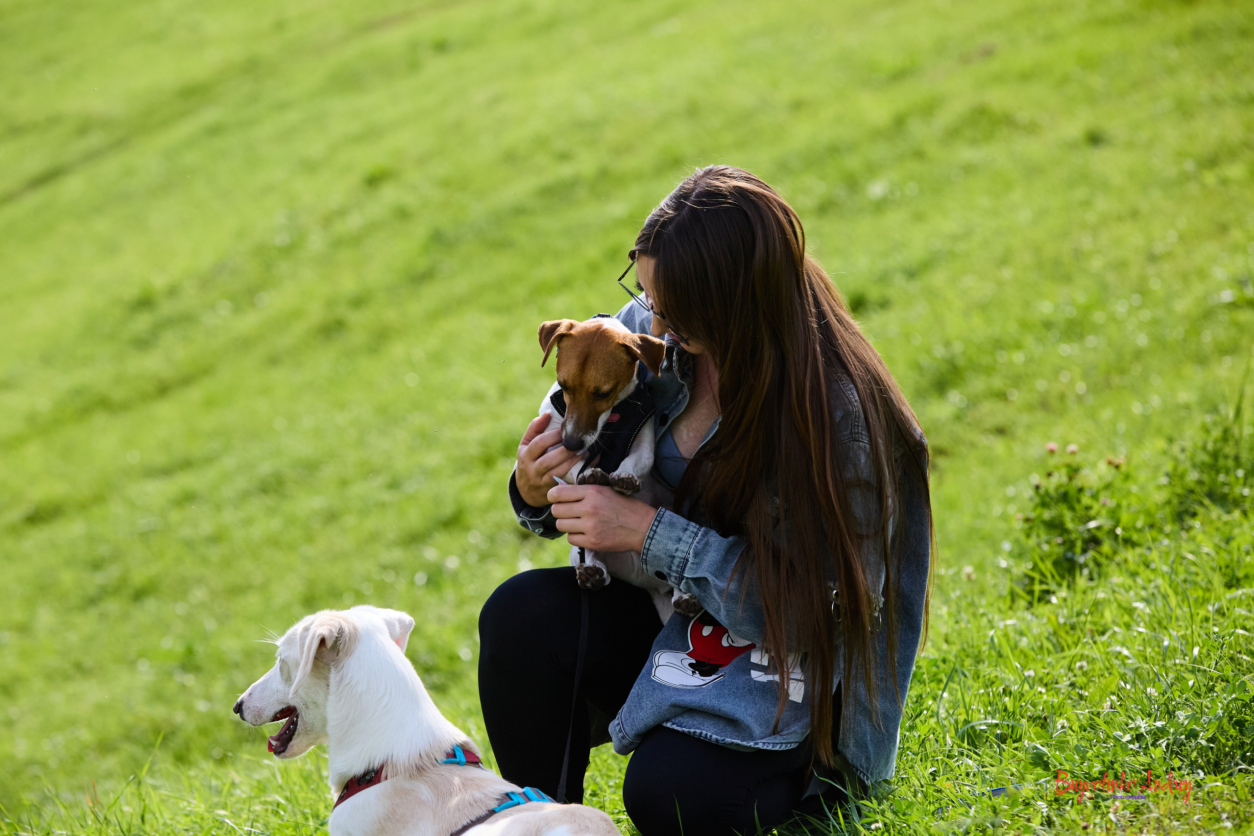 Проект фотопрогулка с хвостиком. Buyvolenko Andrey