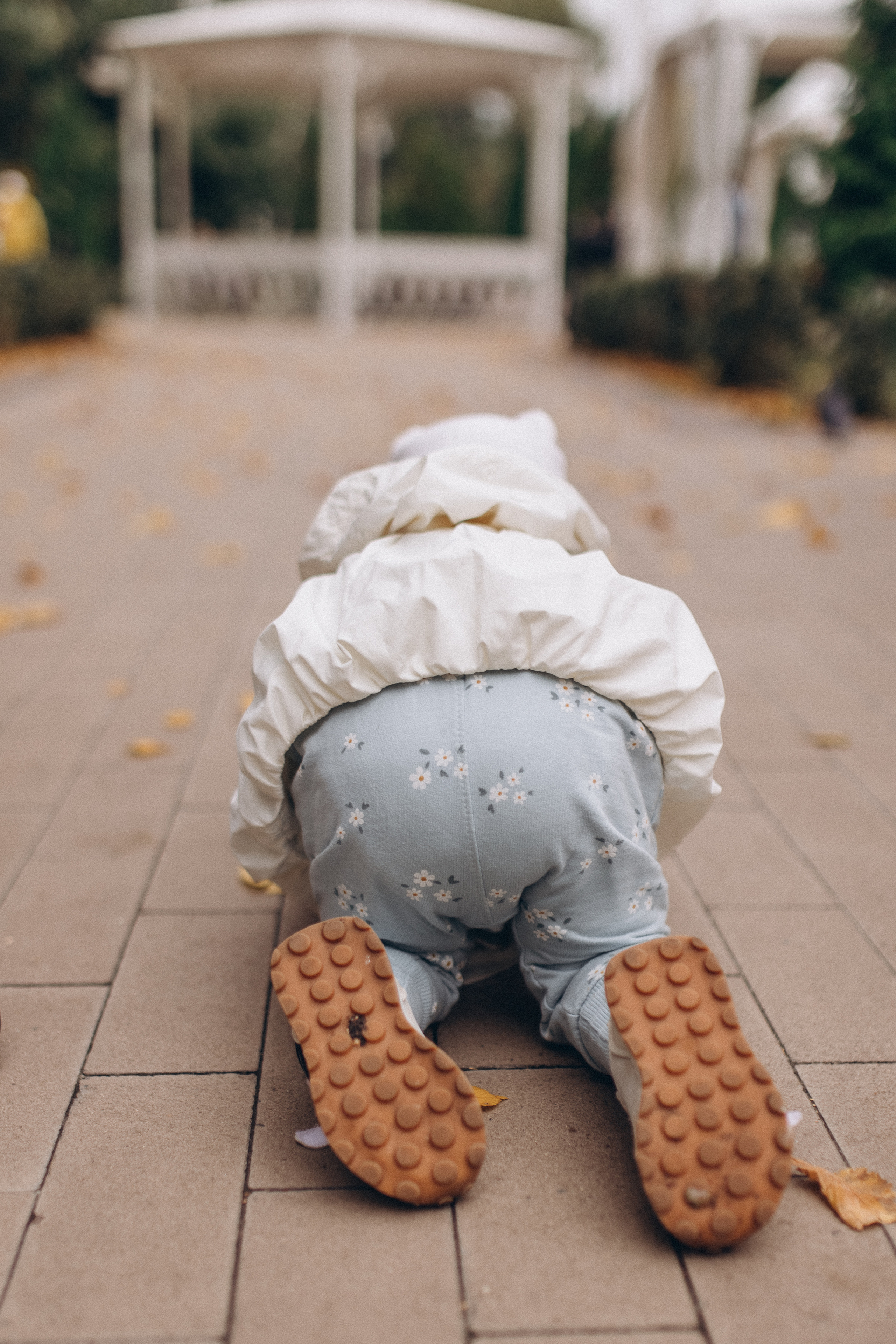 Family day. Семейный lifestyle фотограф в Самаре Ольга @saflorra.ph