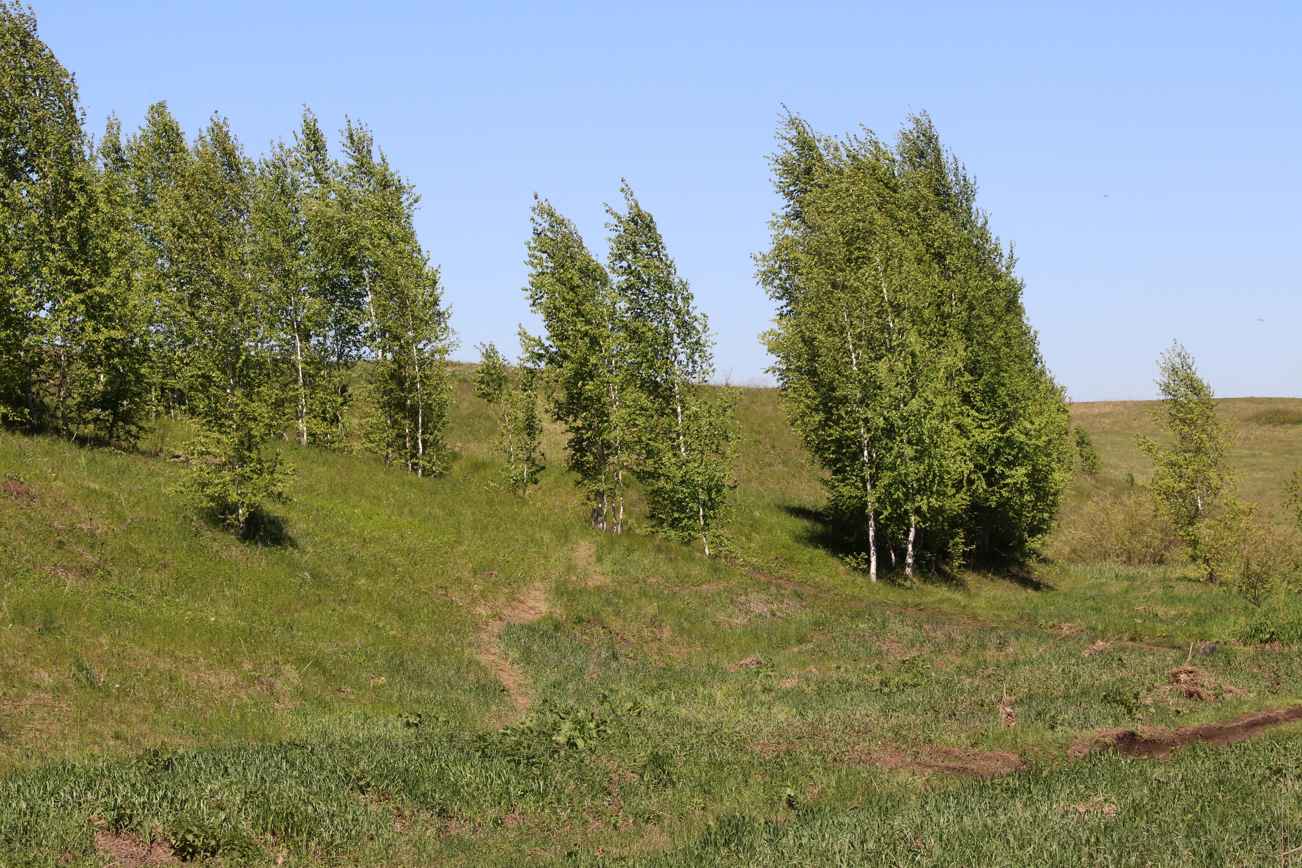 Велопоход Уфа — Мелеуз. Май 2024. Путешественник-фотограф из Санкт-Петербурга Татьяна Свистулина