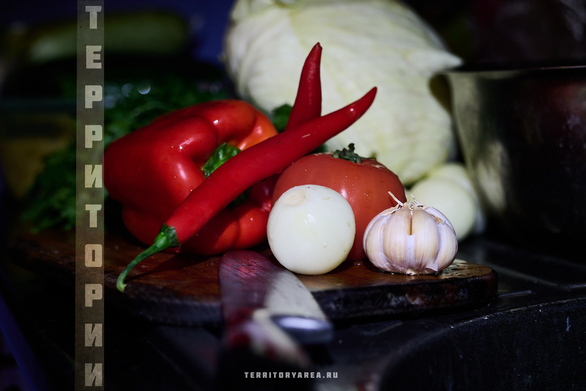 Открытки фотопроекта «Территории». Фотопроект «Территории»