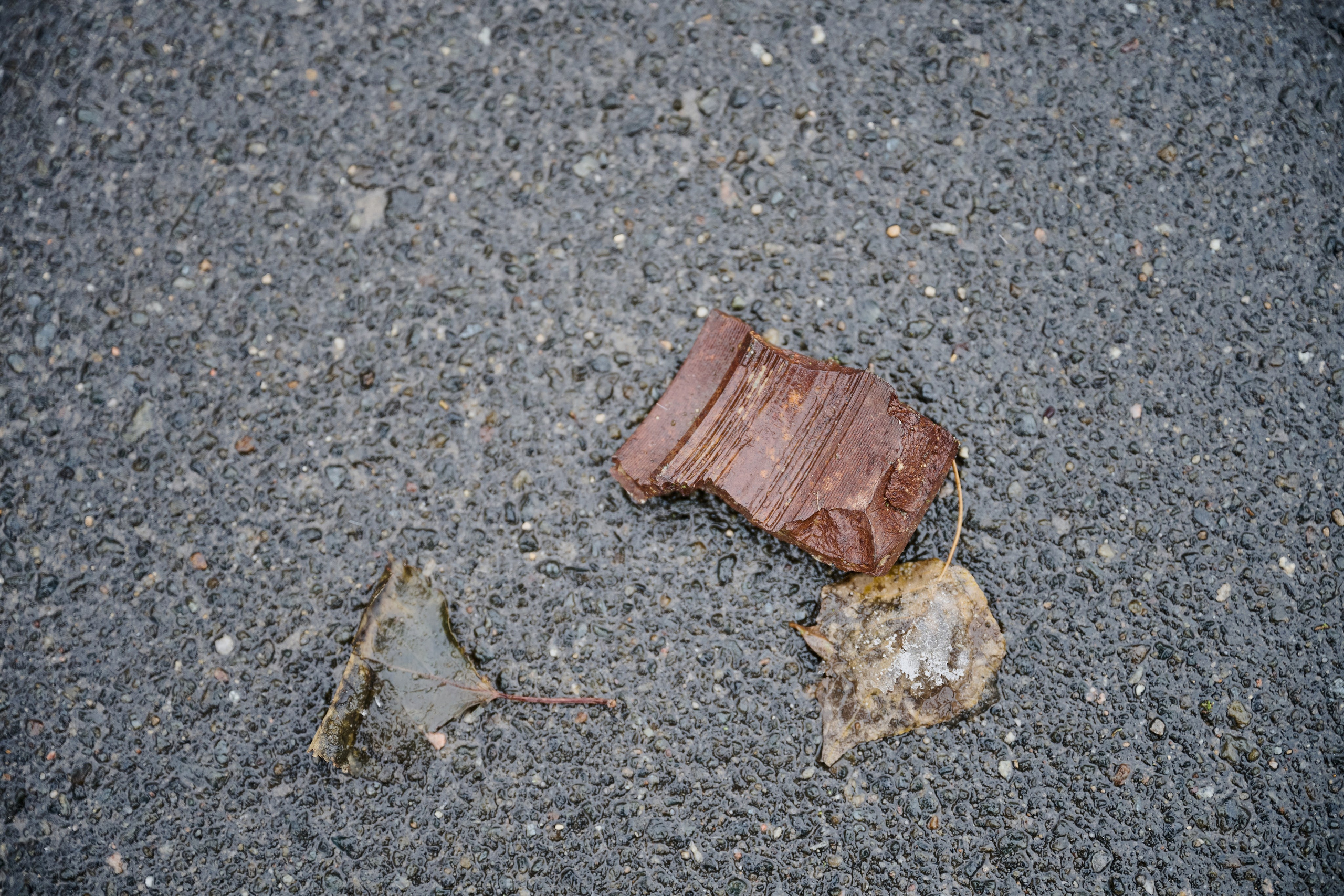 Северодонецк. Луганская область. Фотопроект «Территории»