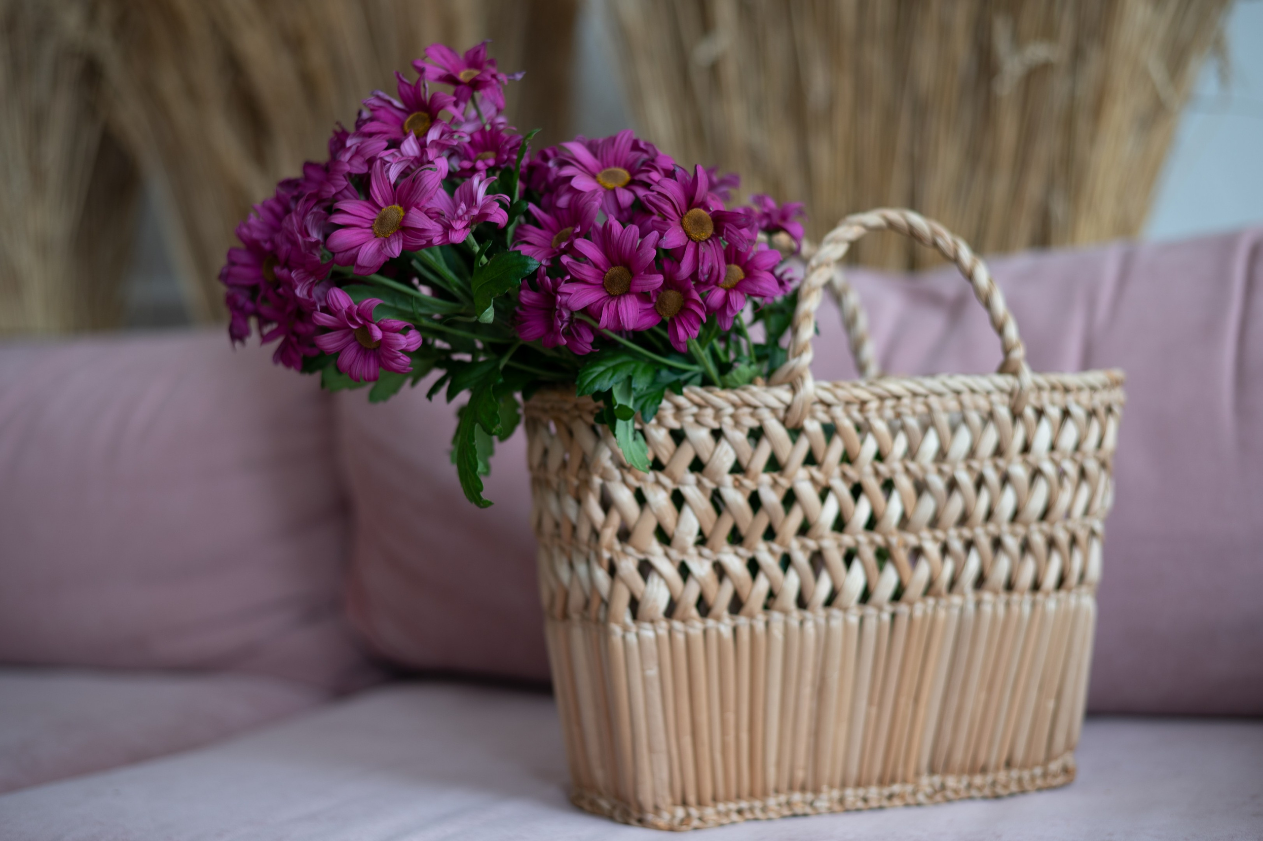 Анастасия. Портретный, семейный фотограф Марина Моисеева