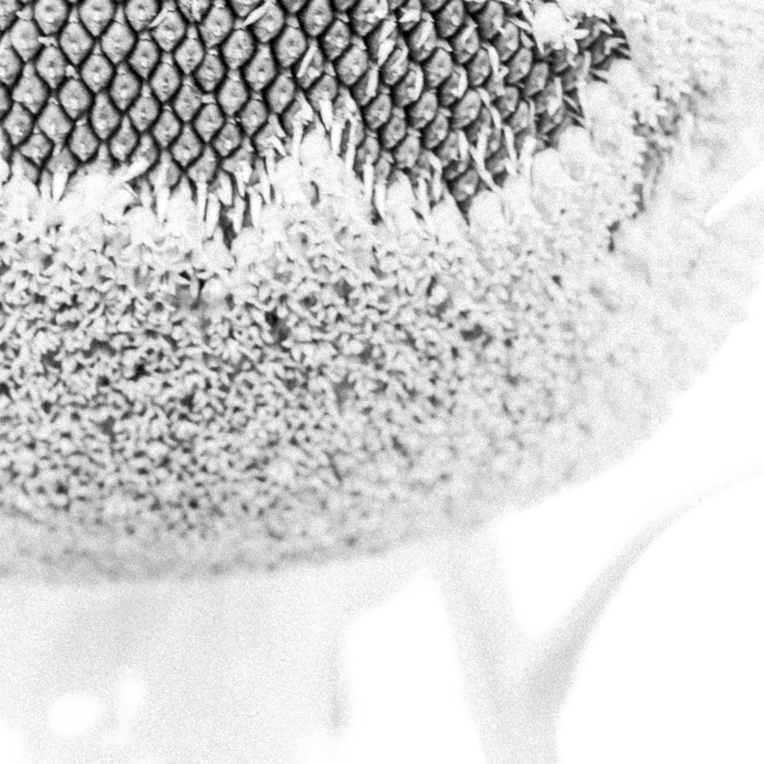 Ты, пожалуйста, не болей!. Katya Medvedeva