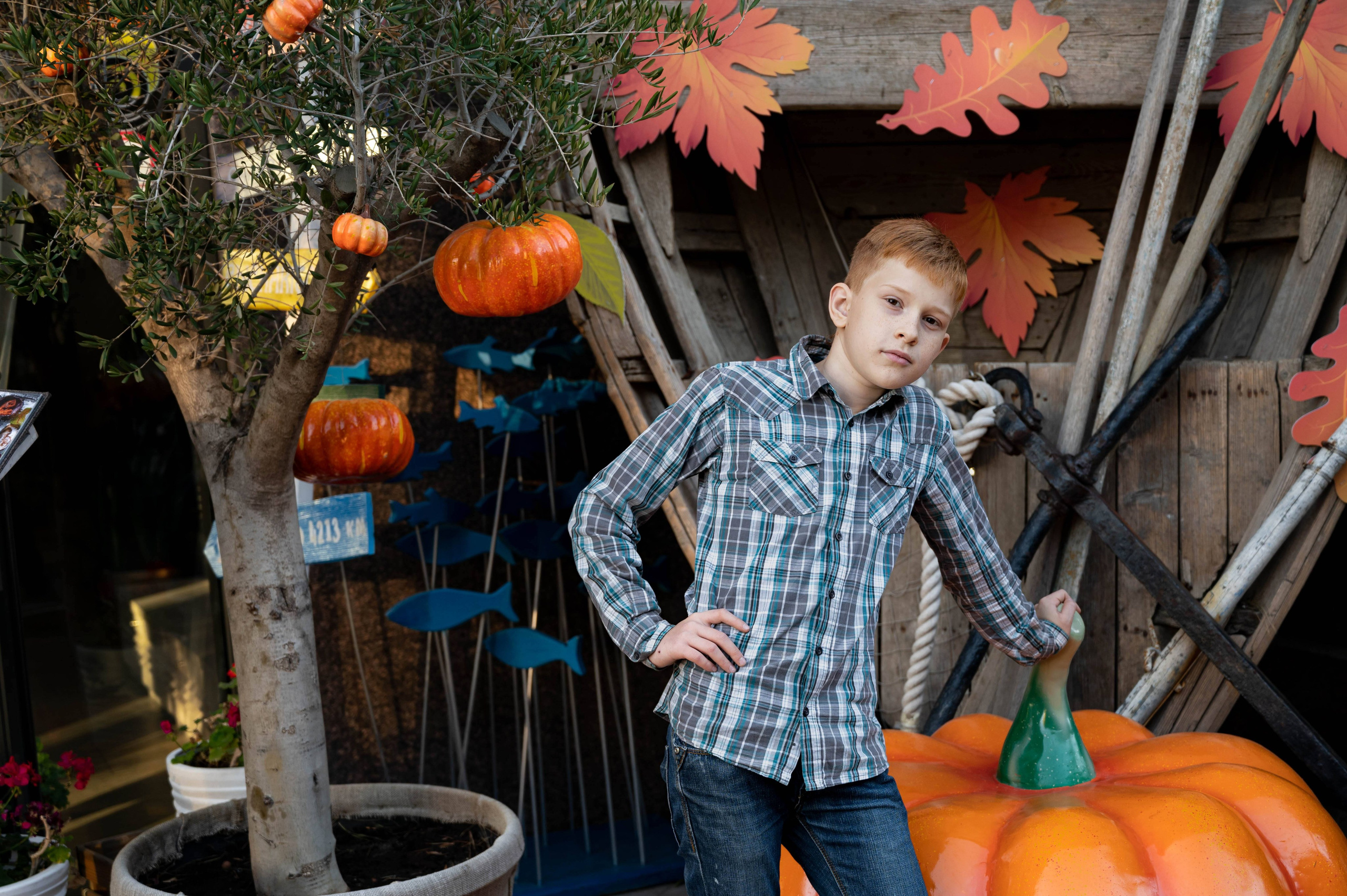 Арт студия «Пегас». Фото- и видео- съемка