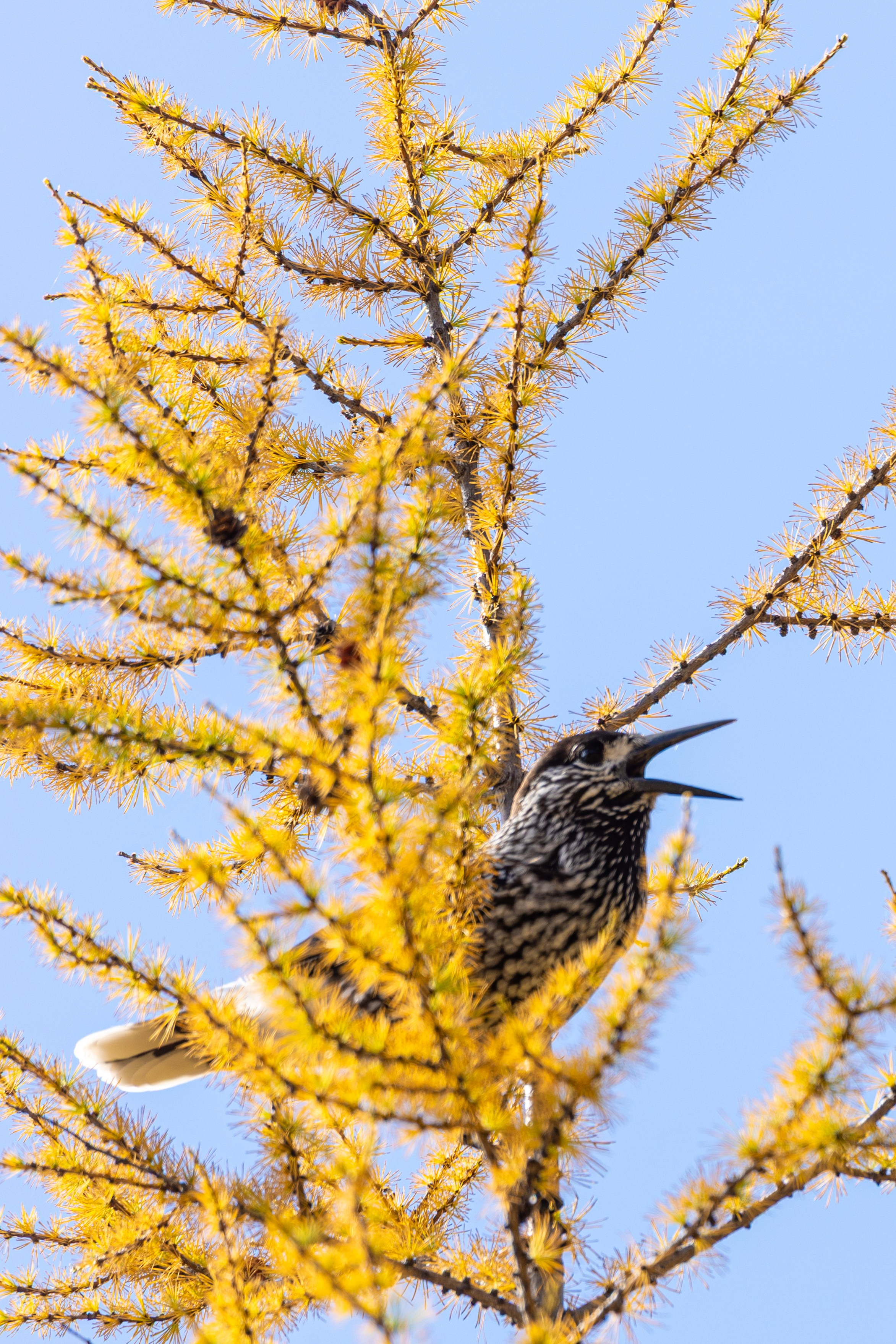 Озеро Джека Лондона. Тревел-фотограф Олег Гуров
