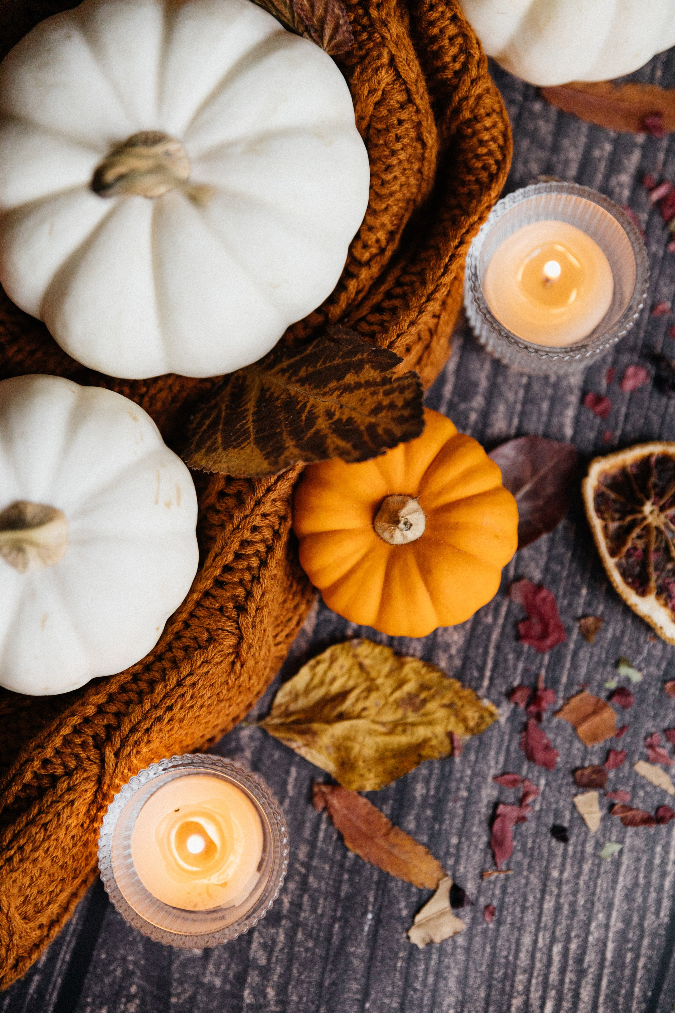 Тыквы. Свадебный и портретный фотограф в Новокузнецке Екатерина Авдеева