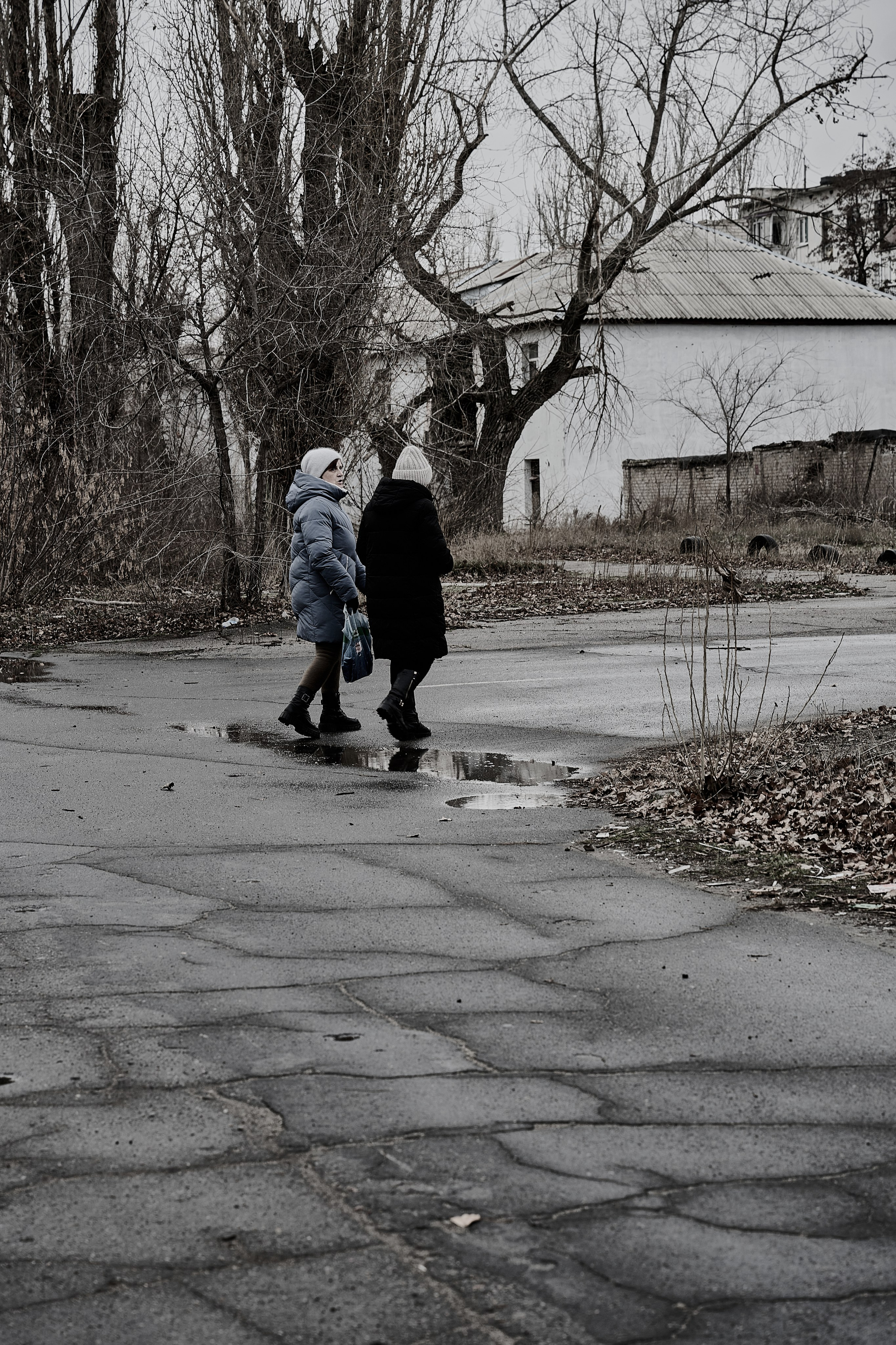 Северодонецк. Январь 2025. Фотограф Роман Адлер